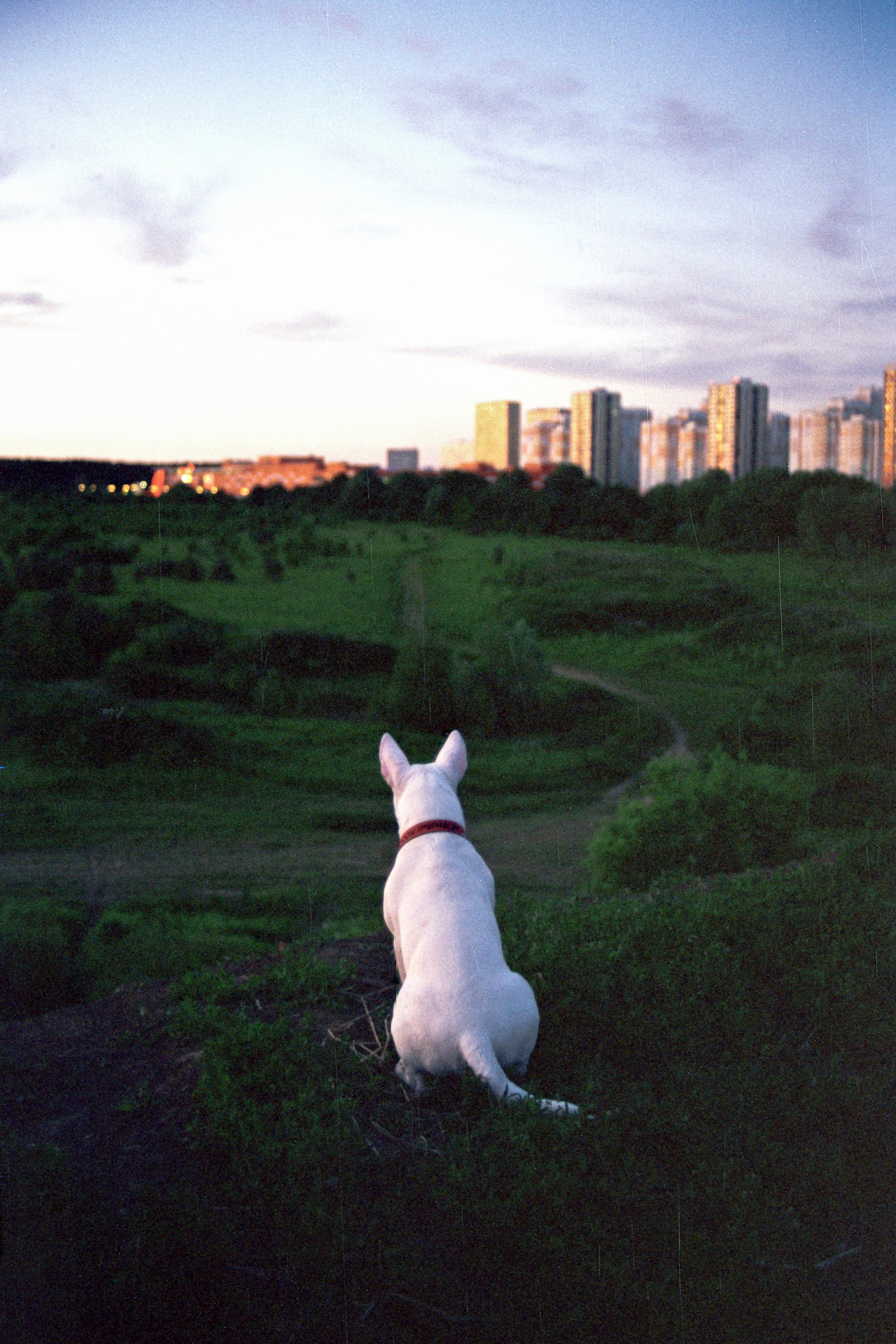 Автор: Виктор Езчелик