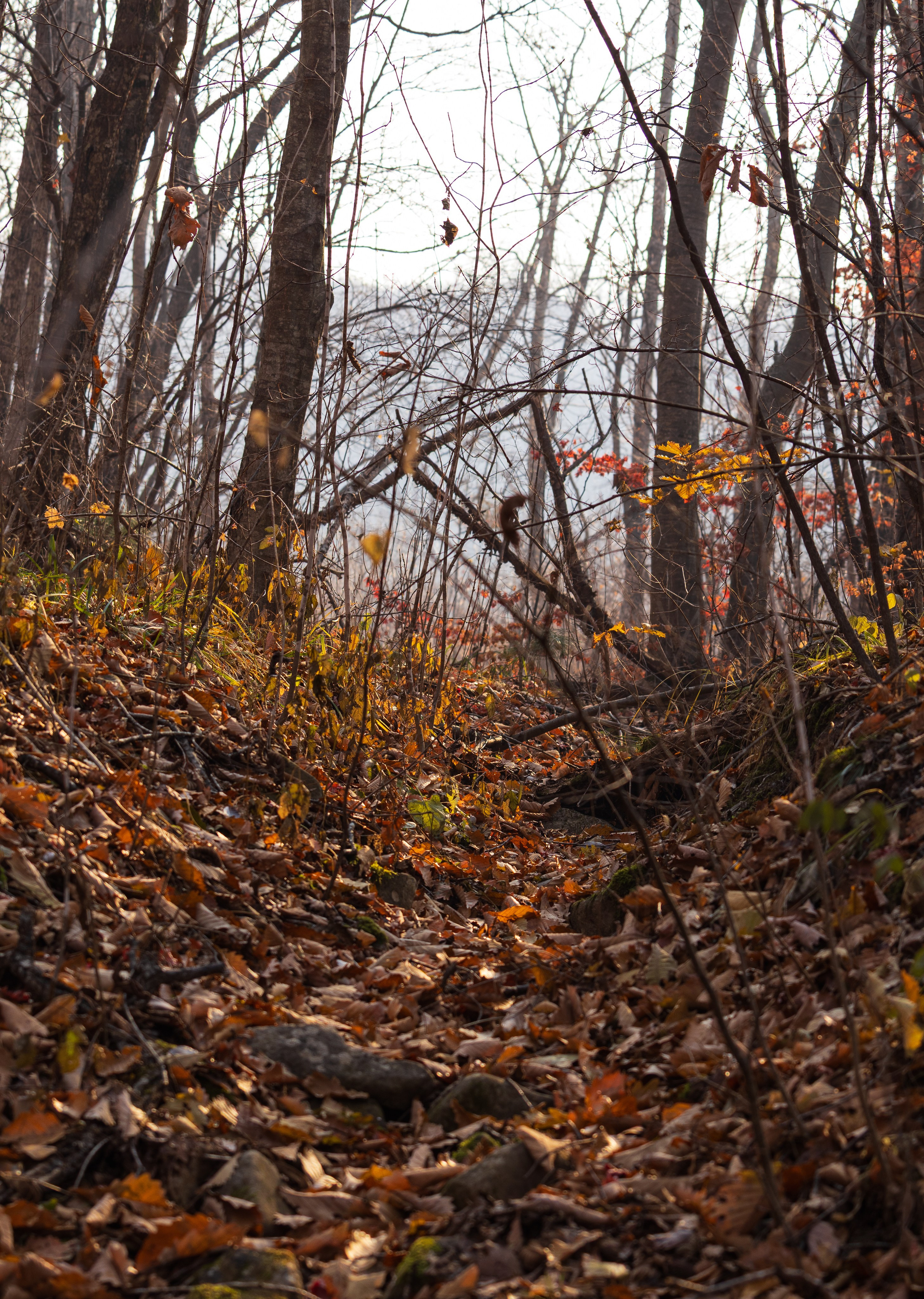 Маруськины слёзы. Константин Кириченко