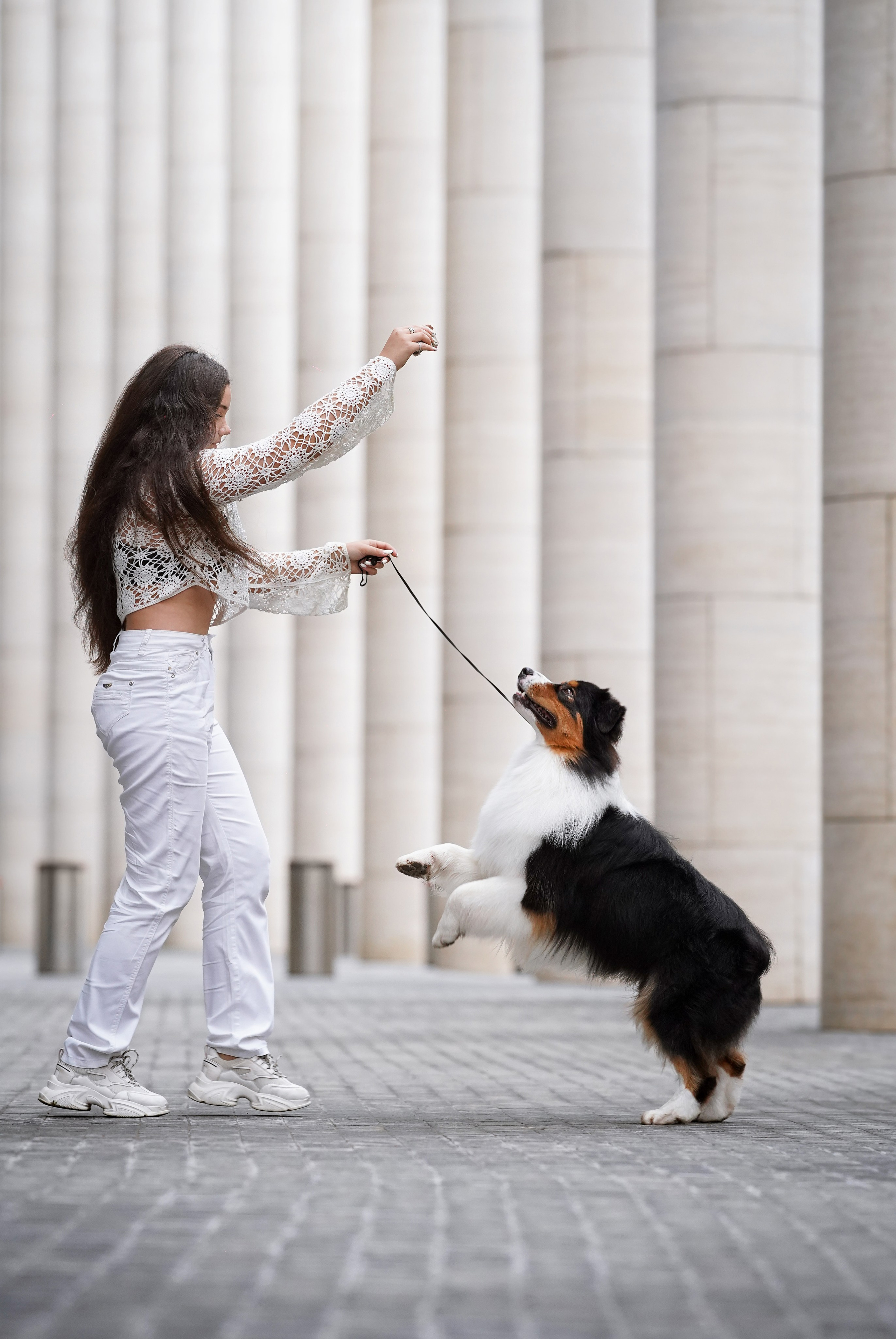 Кристина Катя Гермиона и Бэст. Фотограф-анималист в Санкт-Петербурге Яна Мартынова