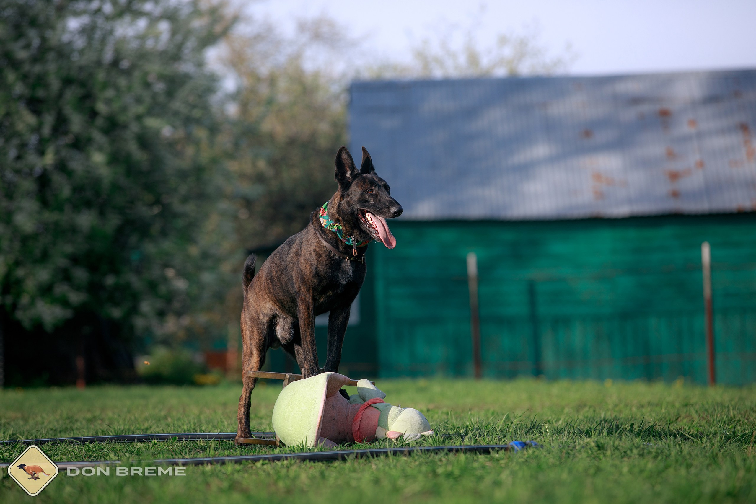 Семинар для фигурантов, день 4. Фотограф-анималист Mary Mart — Москва, Питер