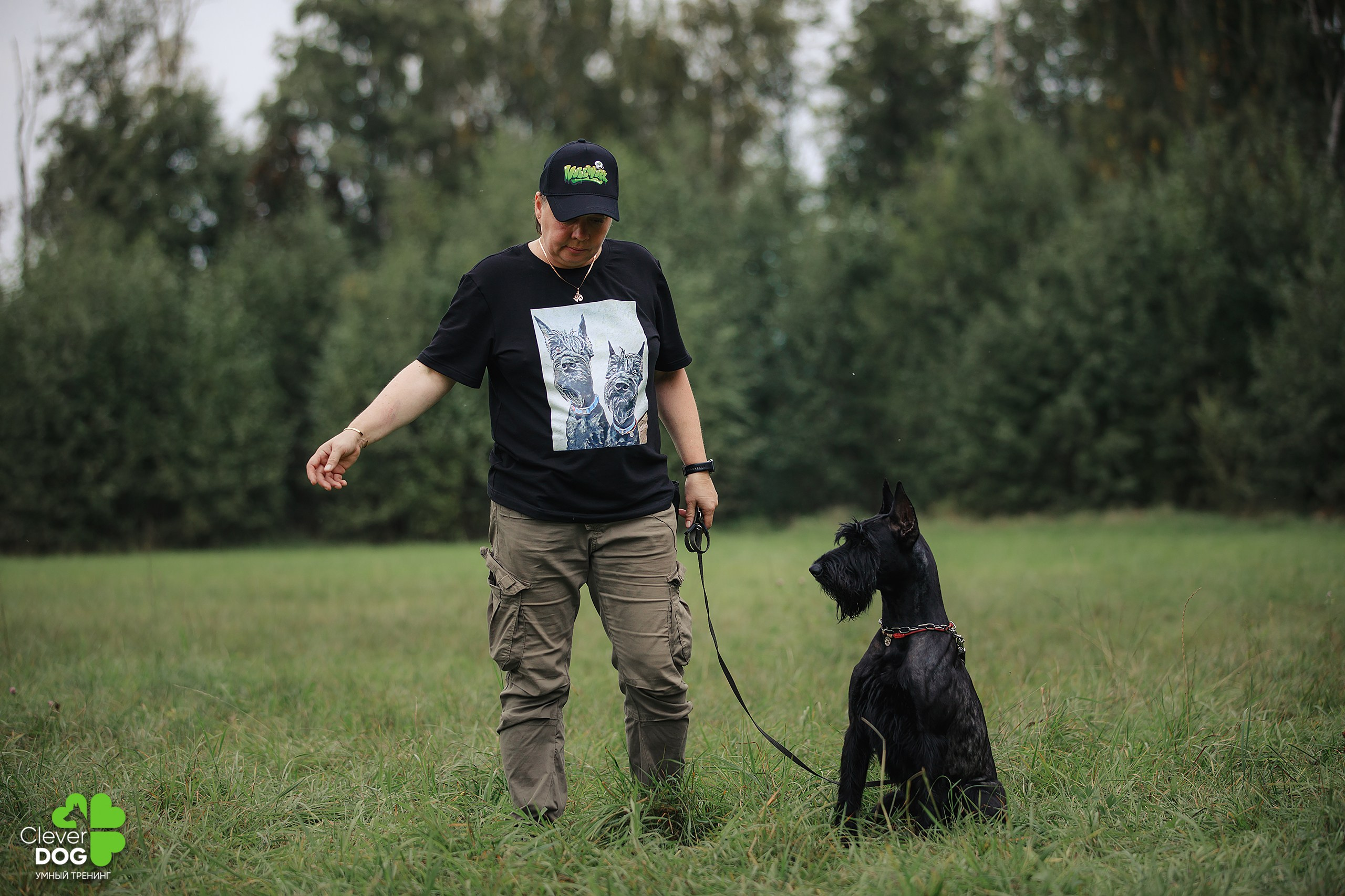 Кинологический лагерь CleverDog, 2024. Фотограф-анималист Mary Mart — Москва, Питер