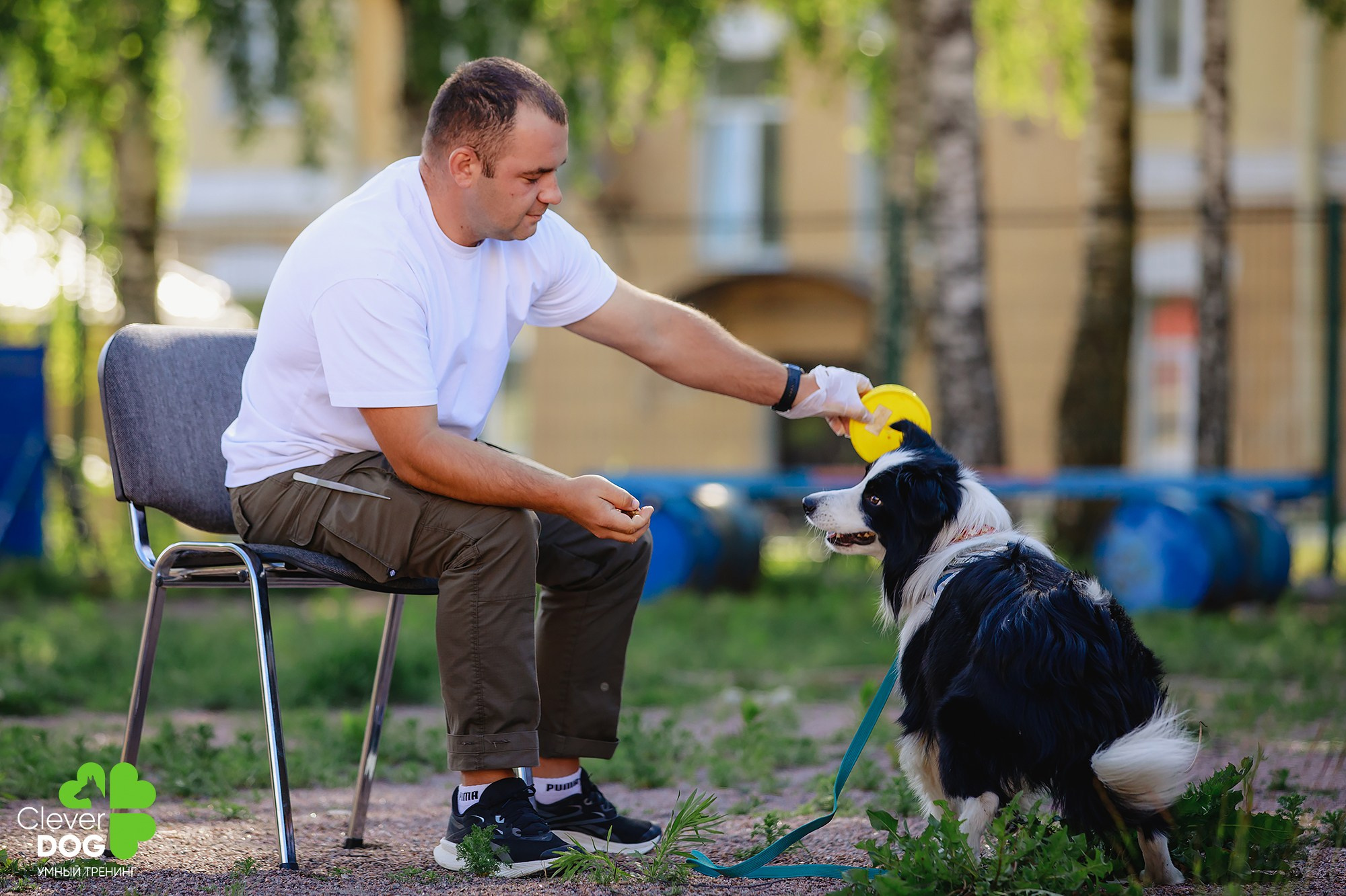 Семинар по поиску запаха с Иваном Ломовым, организатор CleverDog, СПб. Фотограф-анималист Mary Mart — Москва, Питер