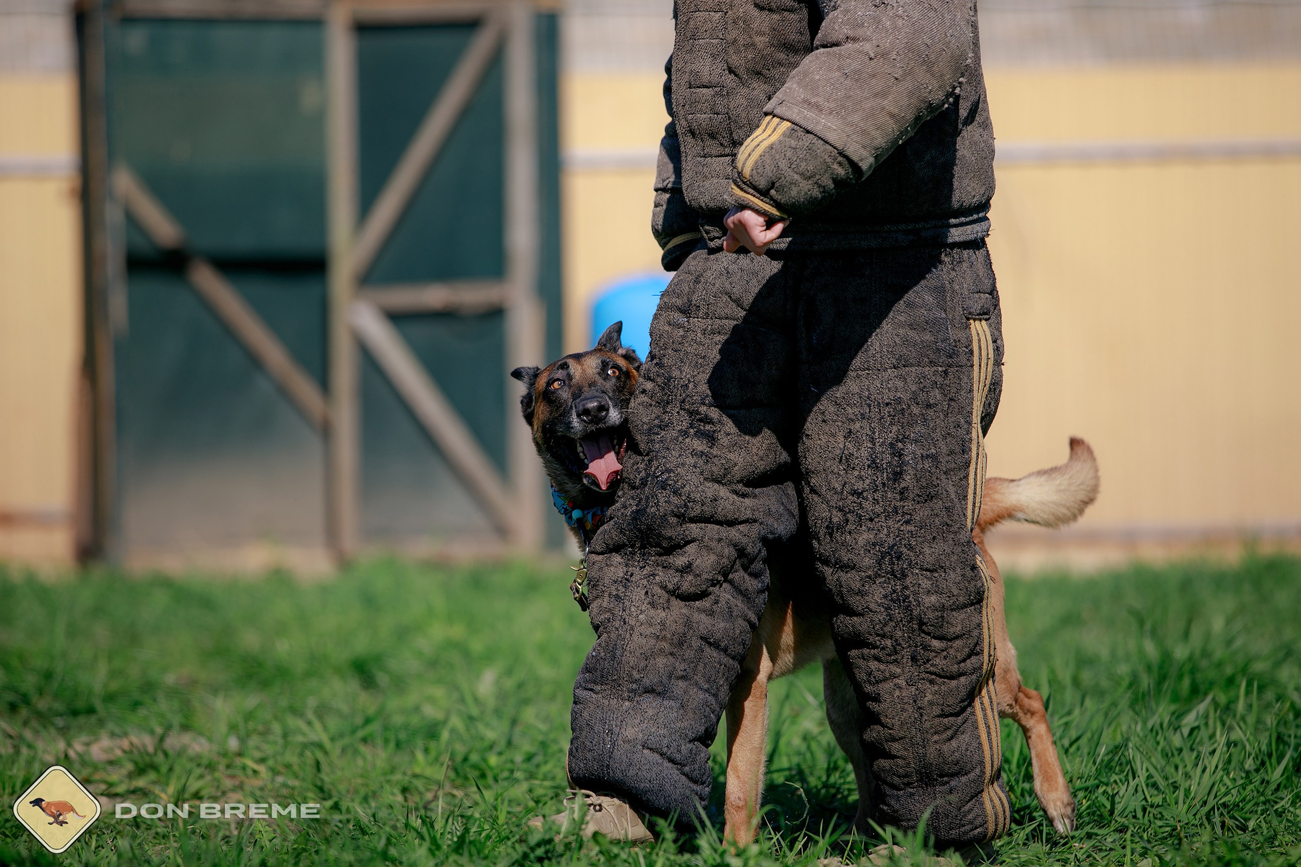 Семинар для фигурантов, день 3. Фотограф-анималист Mary Mart — Москва, Питер