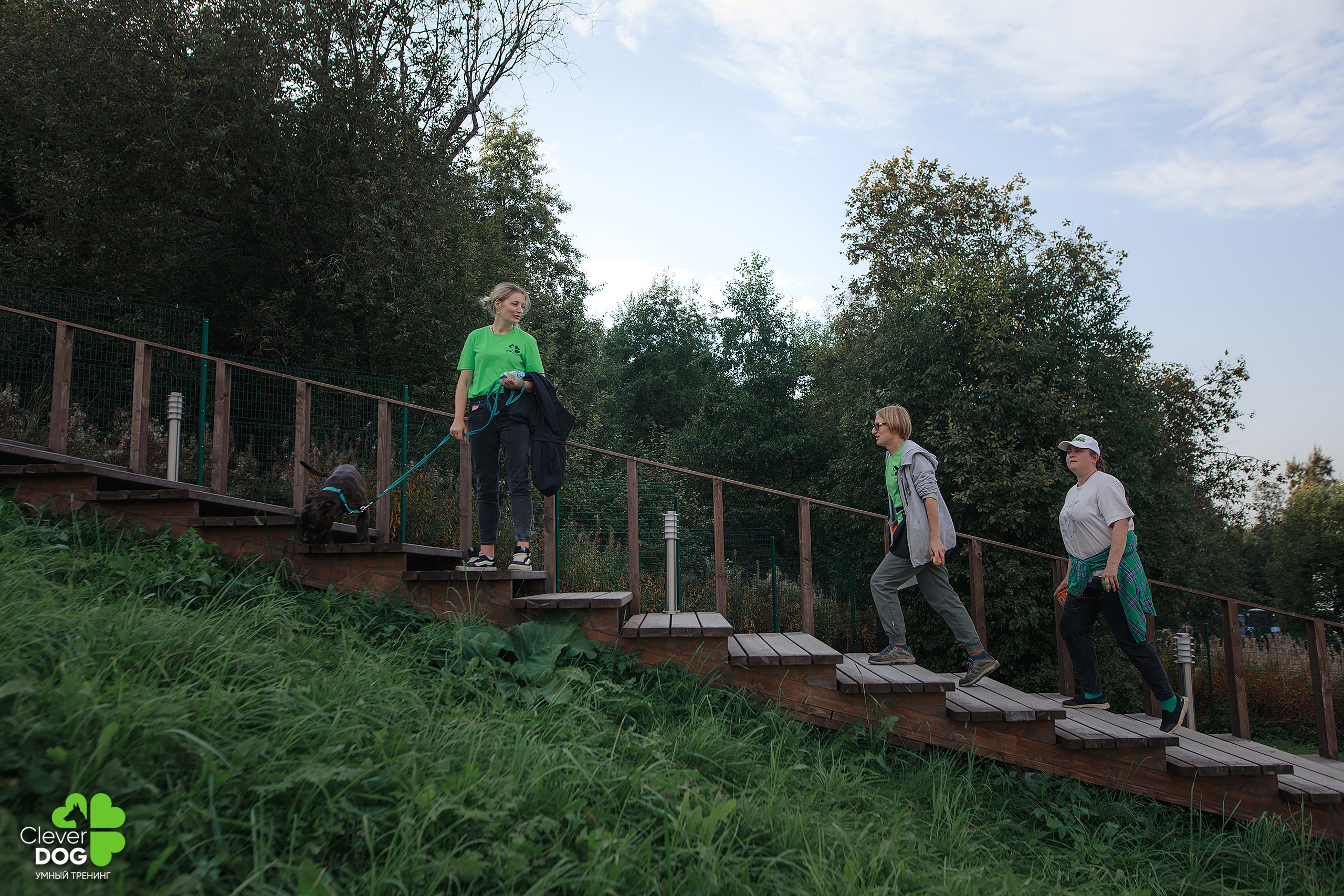 Кинологический лагерь CleverDog, 2024. Фотограф-анималист Mary Mart — Москва, Питер