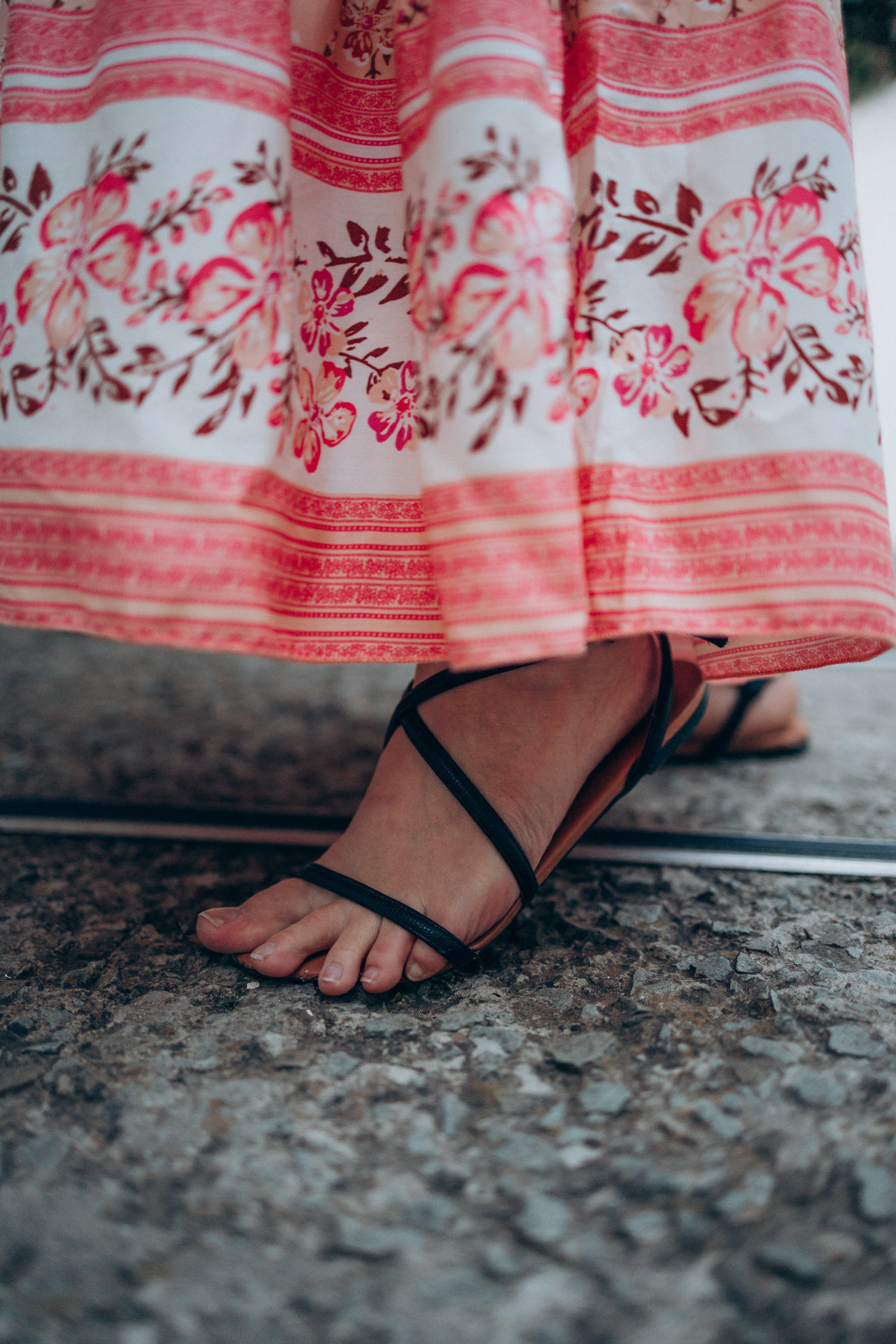 В лучах закатного солнца. Фотограф Москва Светлана Кирюшина