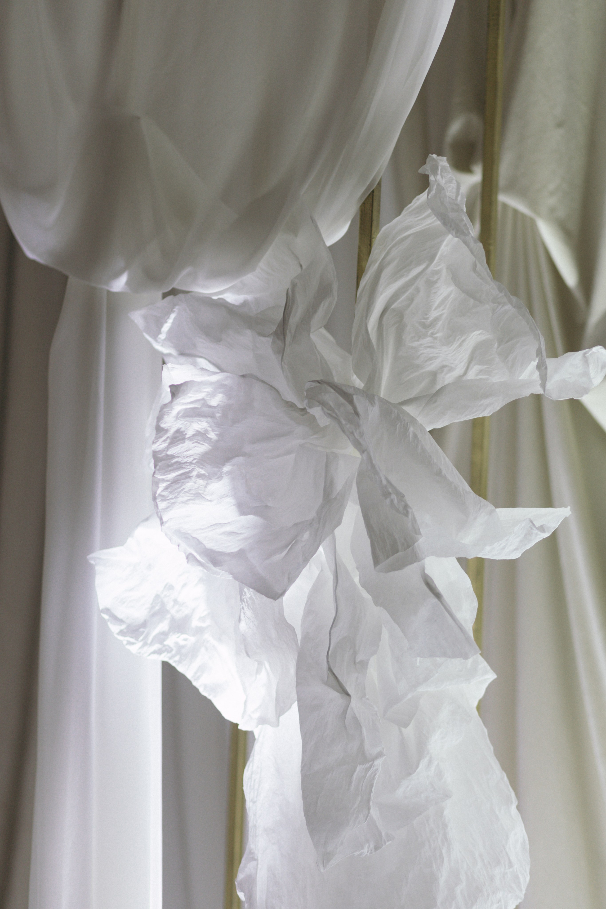 Дмитрий и Снежана, 1/11/2024. Свадебный  и семейный фотограф в Краснодаре