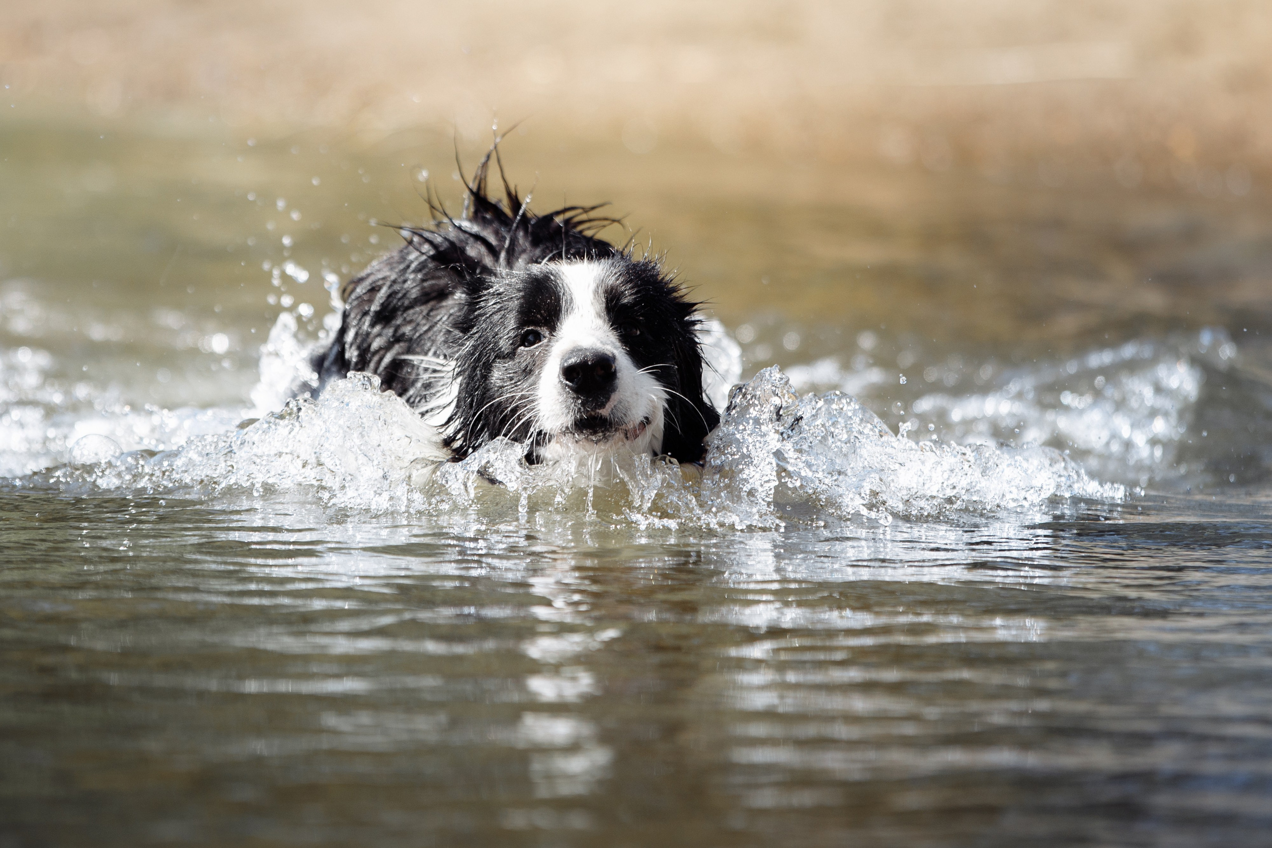 Водяные в Новотроицке. О нас