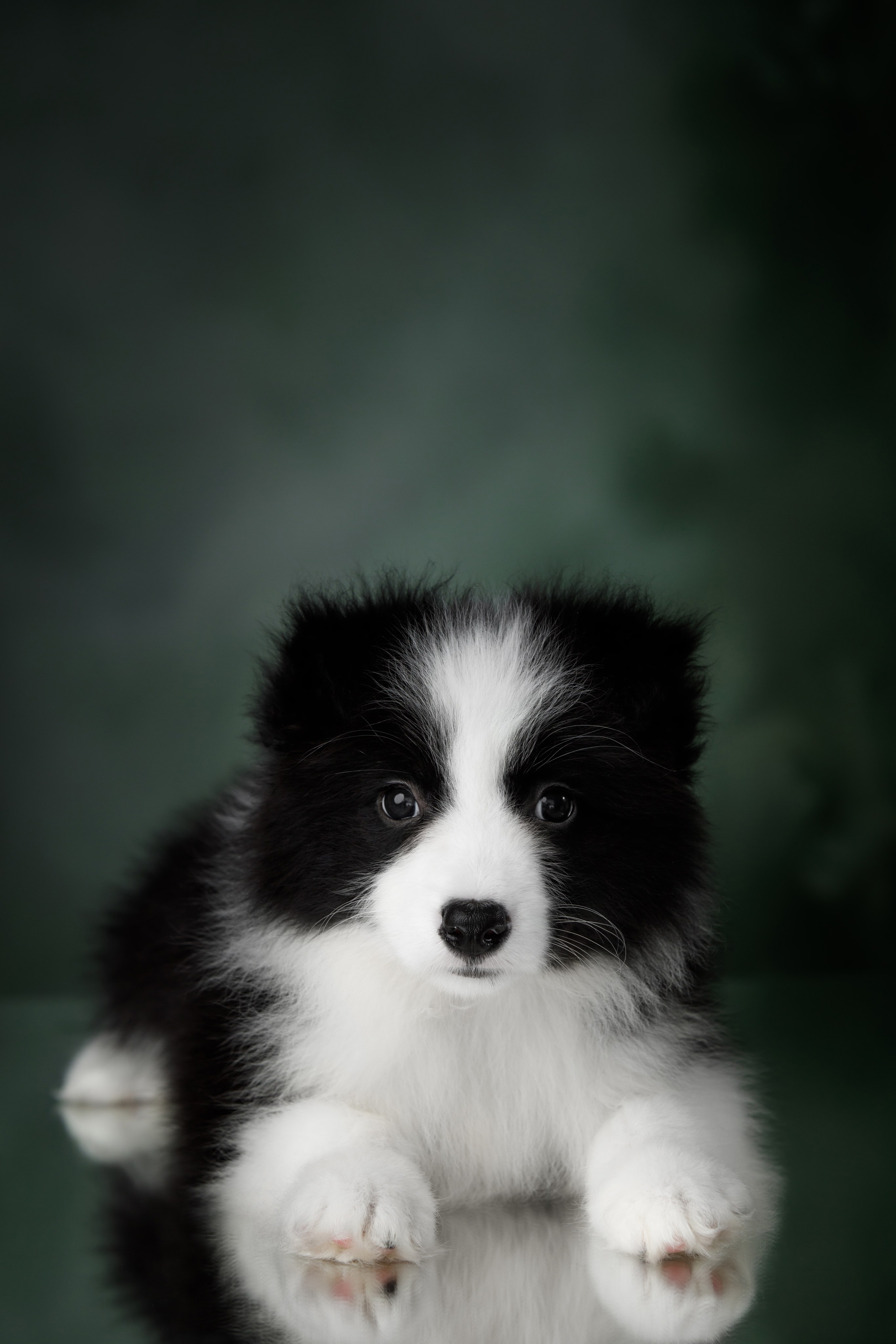 Март. Весна. 22. О нас