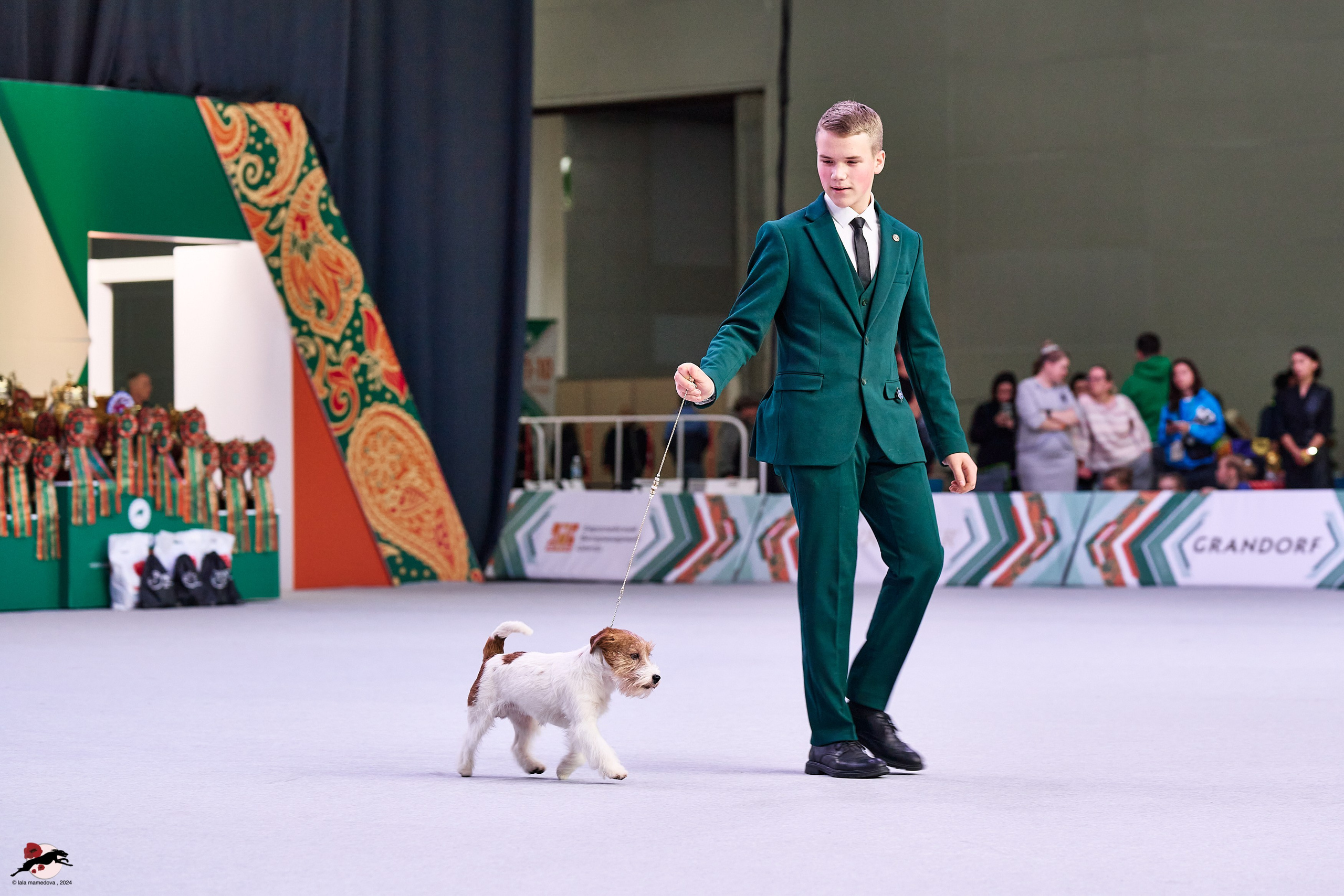 17.11.2024 «ЕВРАЗИЯ. КУБОК СНГ 2024»