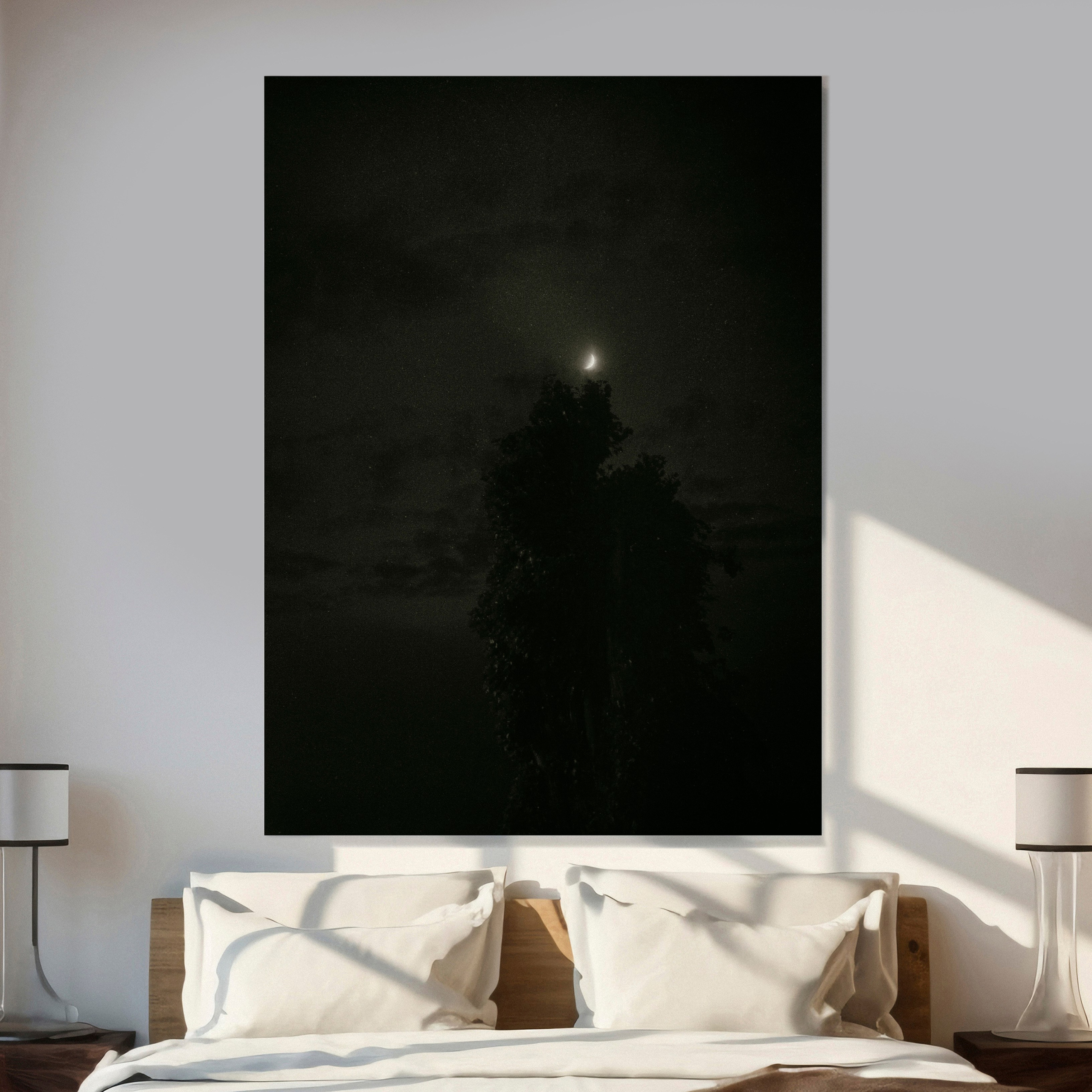 Ночные бдения. Visual artist