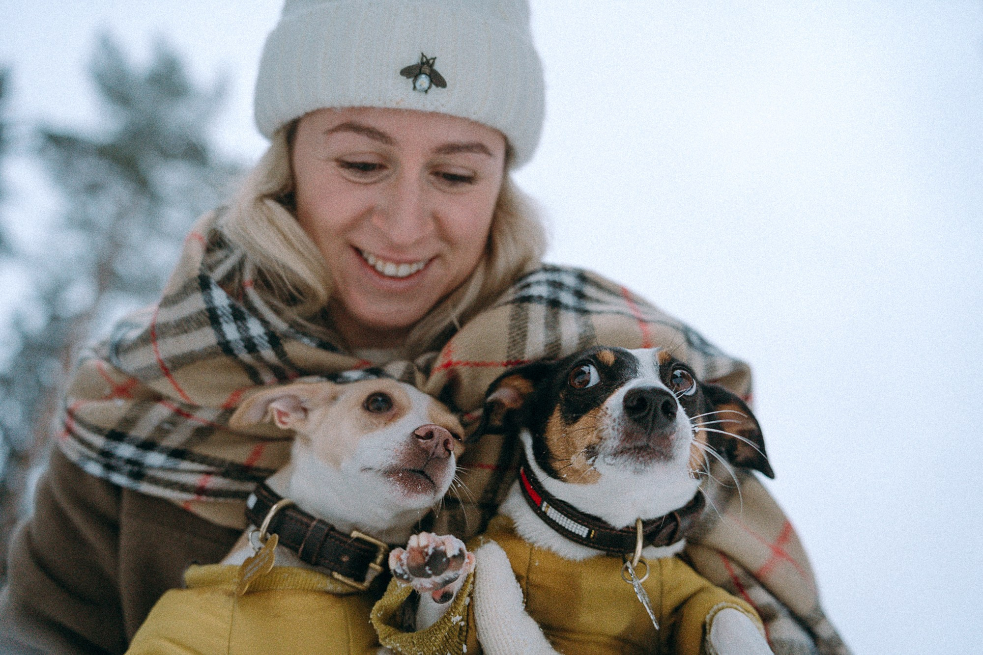 Алина, Ваниль и Элис. Фотограф анималист в Москве и Санкт-Петербурге Свиридова Анна