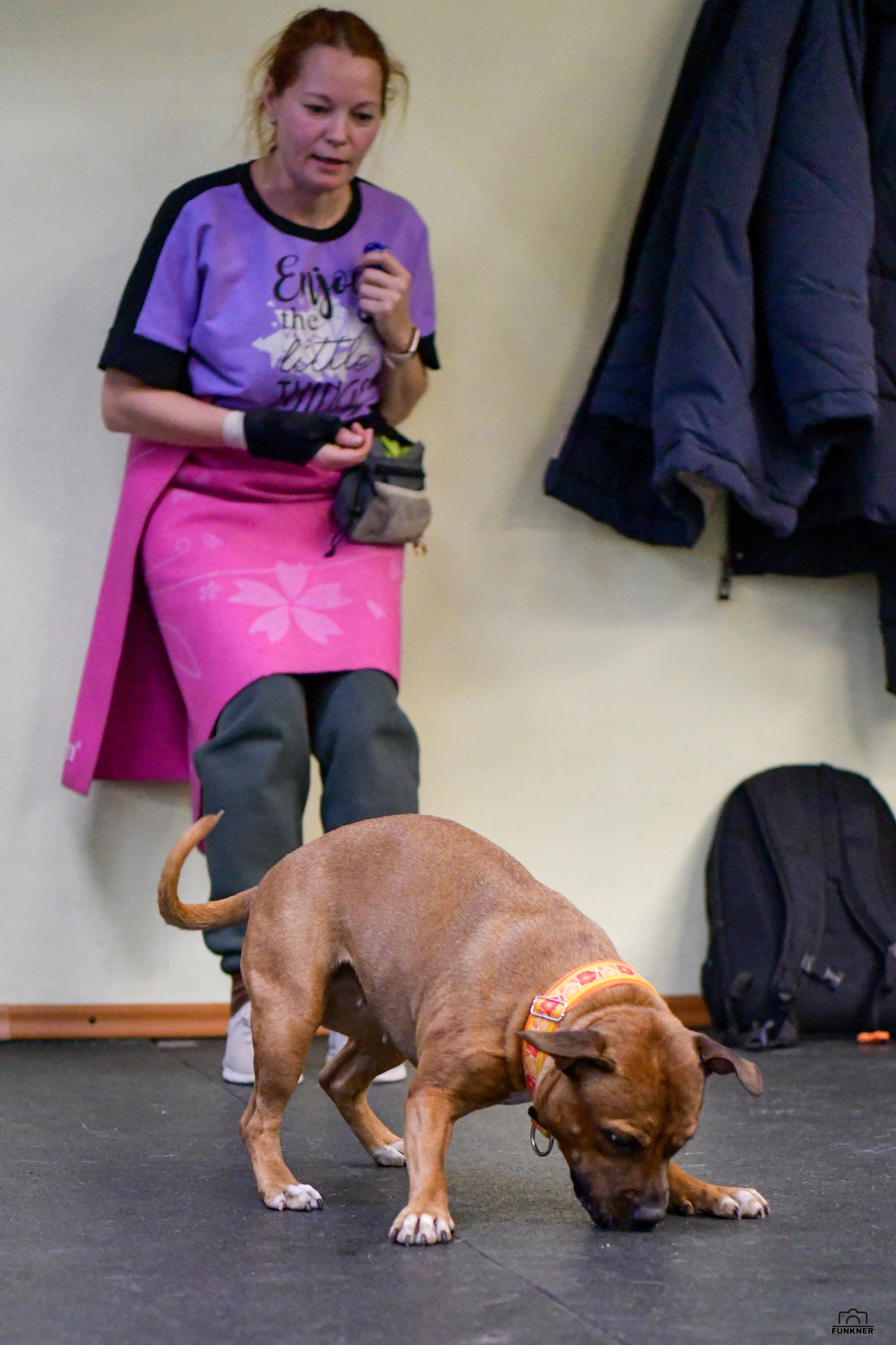 Кинологический клуб «Бодрый хвост». Свой взгляд через объектив