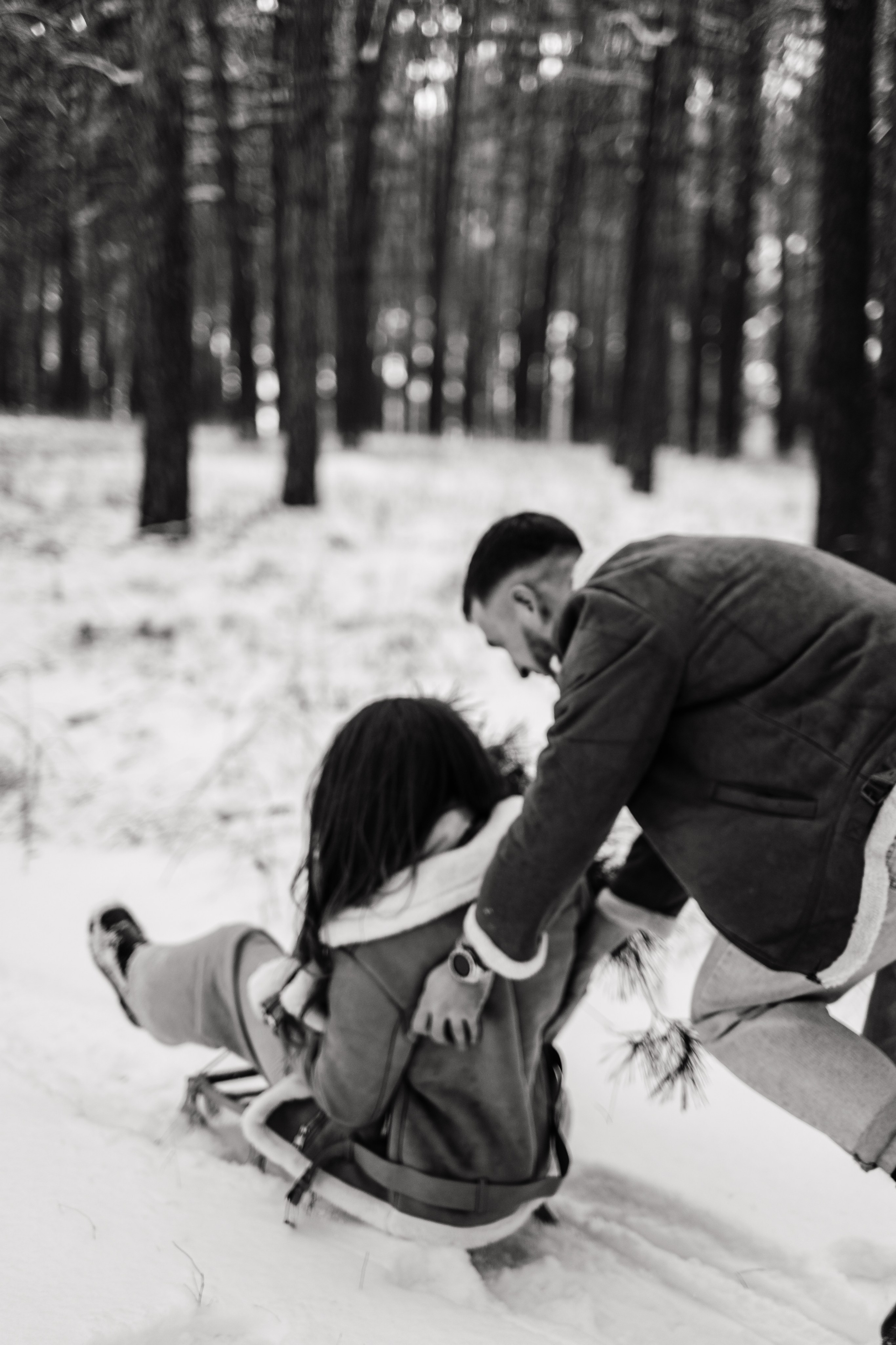 Звенит январская вьюга!. Photographer Victoria Slavnova