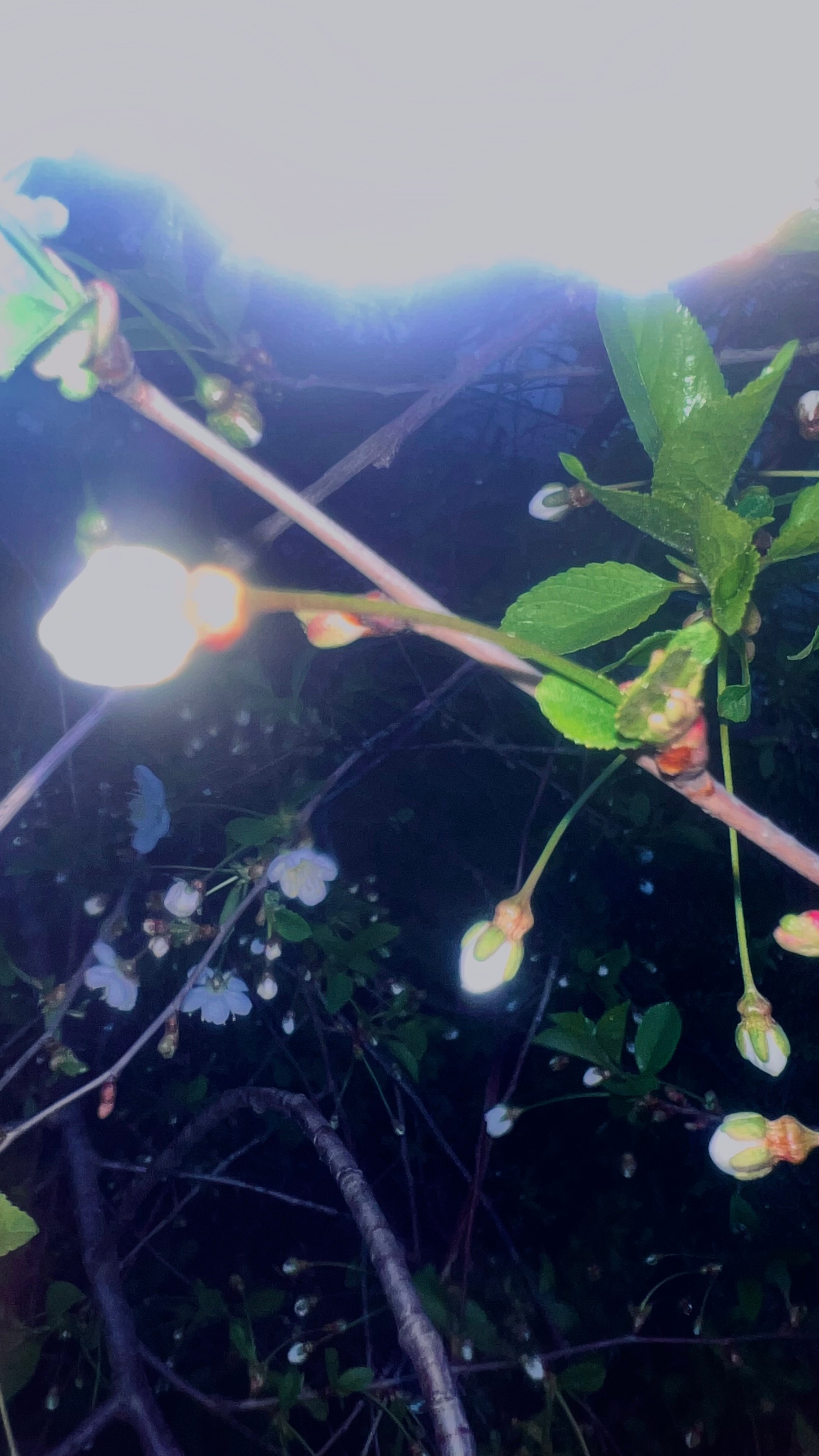 My beautiful days / Moscow 2024. POLINA MÔMOT