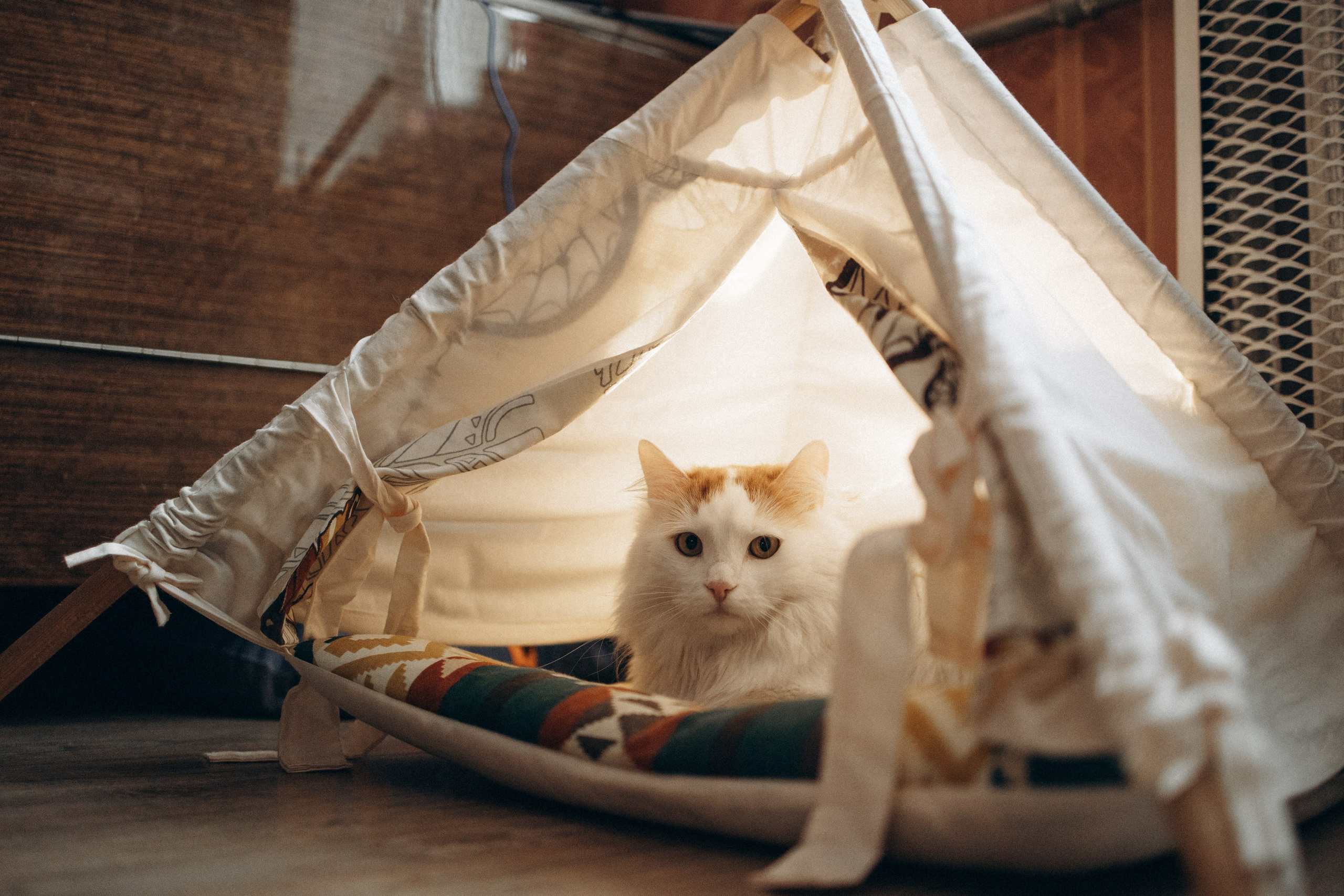 Маша и ее семья. Фотораф — анималист Мария Шистка