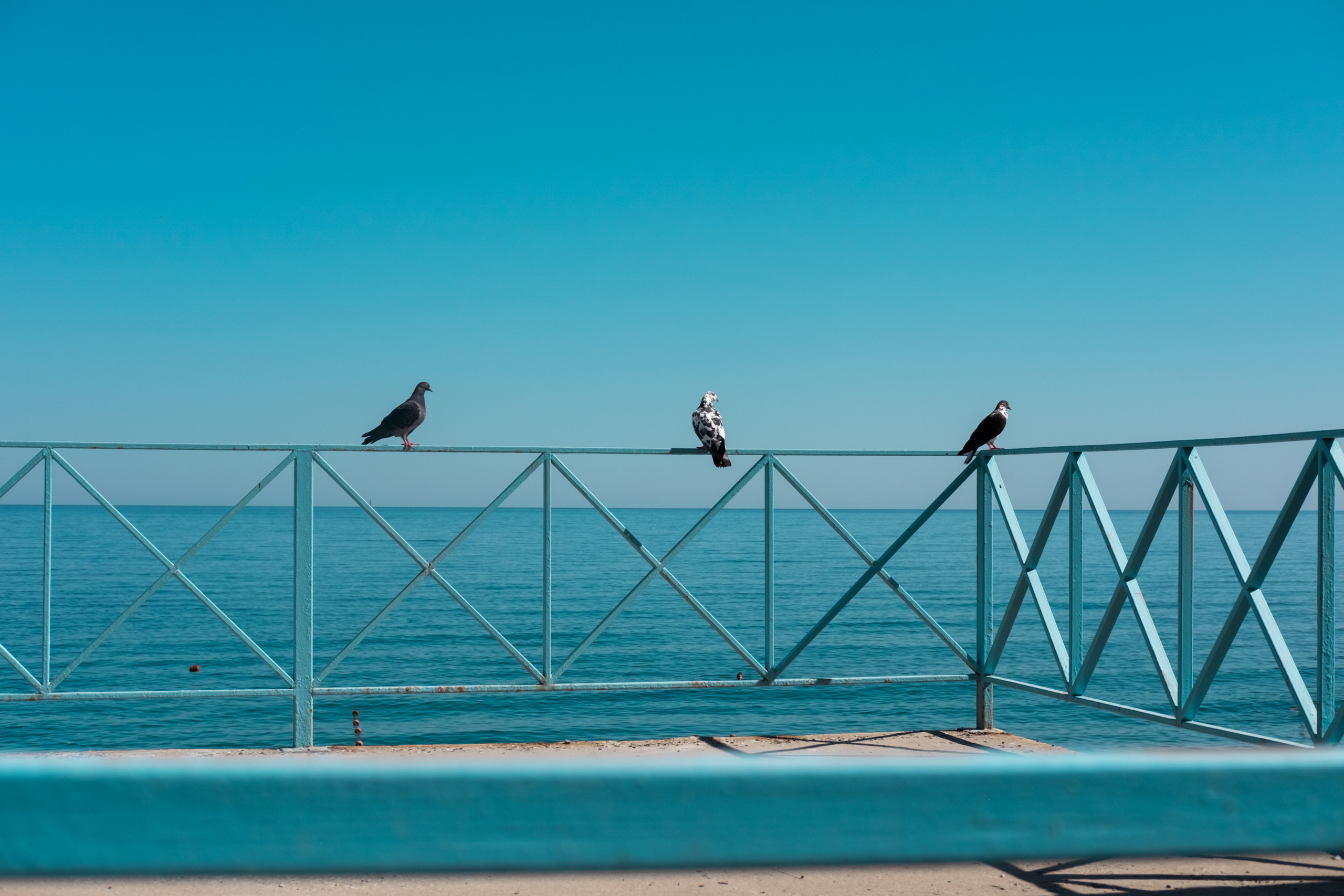 Мечты о море. Фотограф в Москве, в Самаре Инна Мамонова