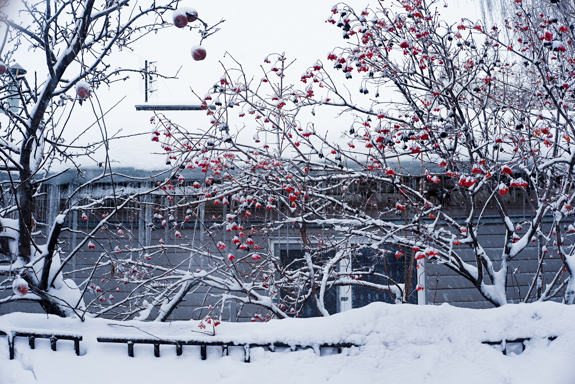 Родное. Фотограф в Москве, в Самаре Инна Мамонова