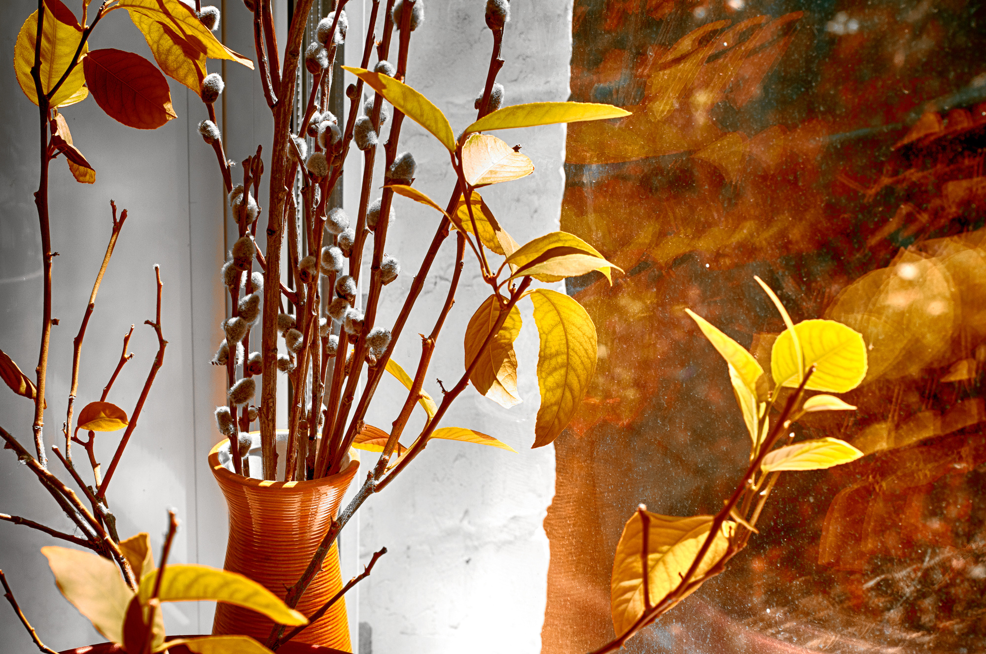 Родное. Фотограф в Москве, в Самаре Инна Мамонова