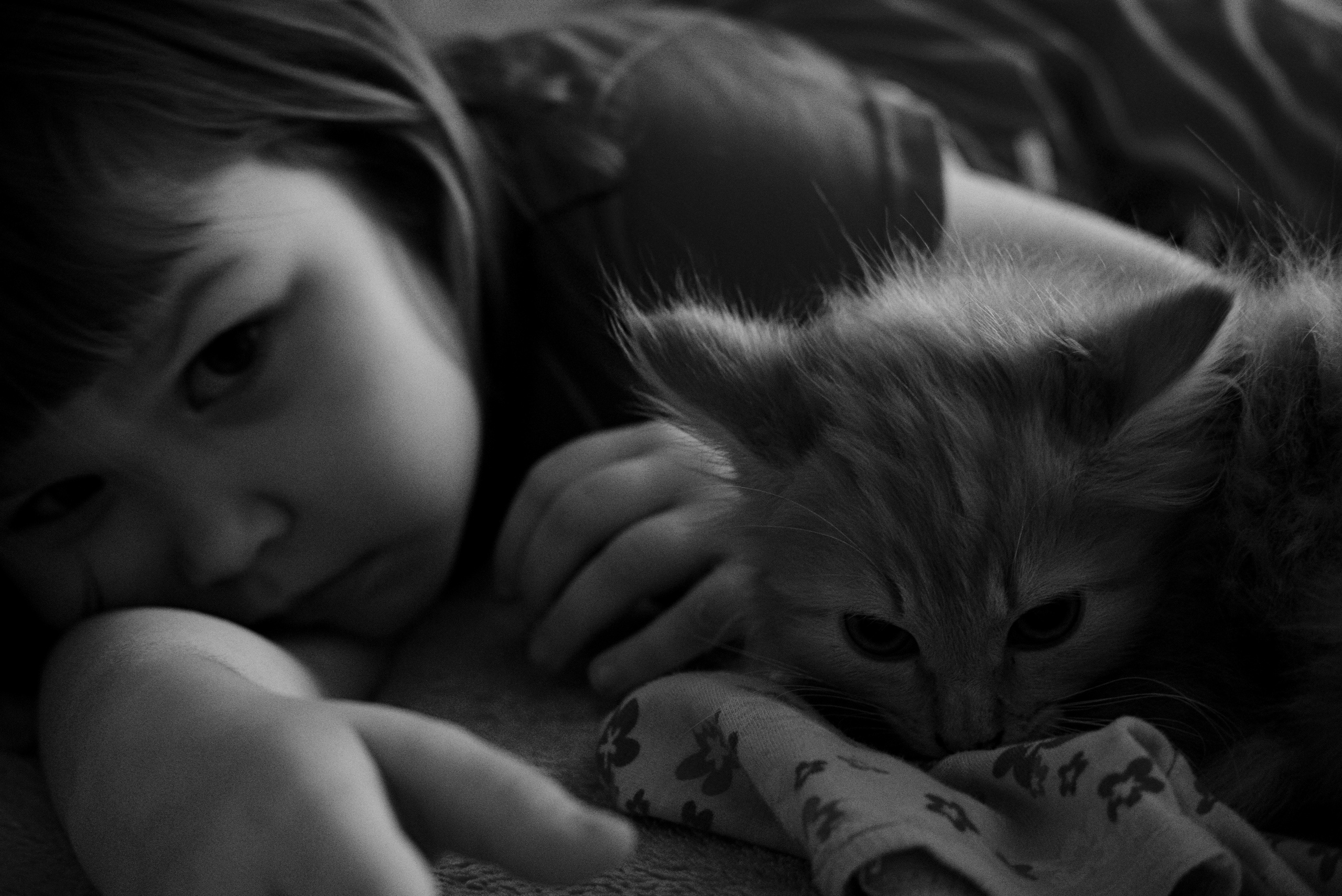 Родное. Фотограф в Москве, в Самаре Инна Мамонова