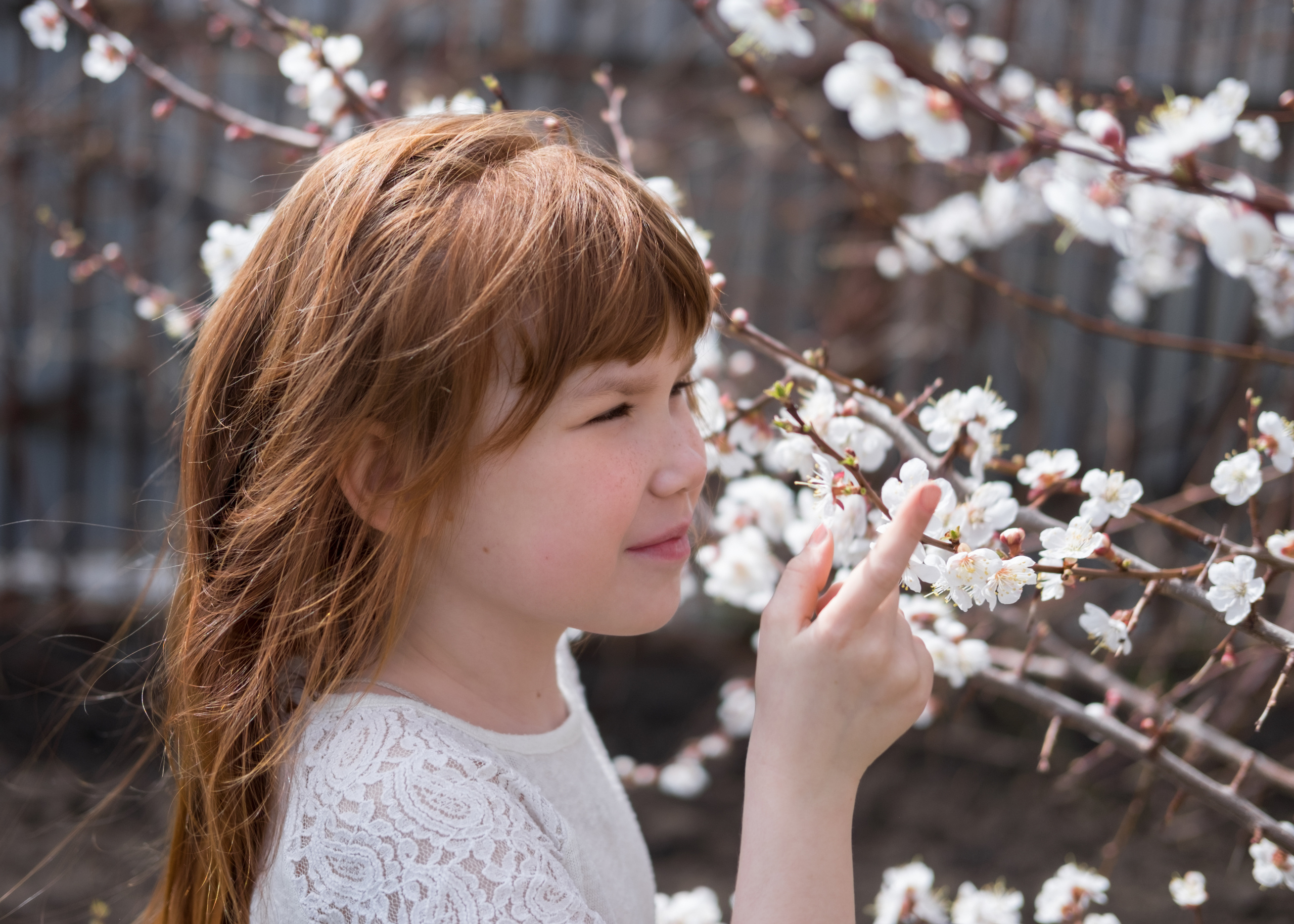 Родное. Фотограф в Москве, в Самаре Инна Мамонова