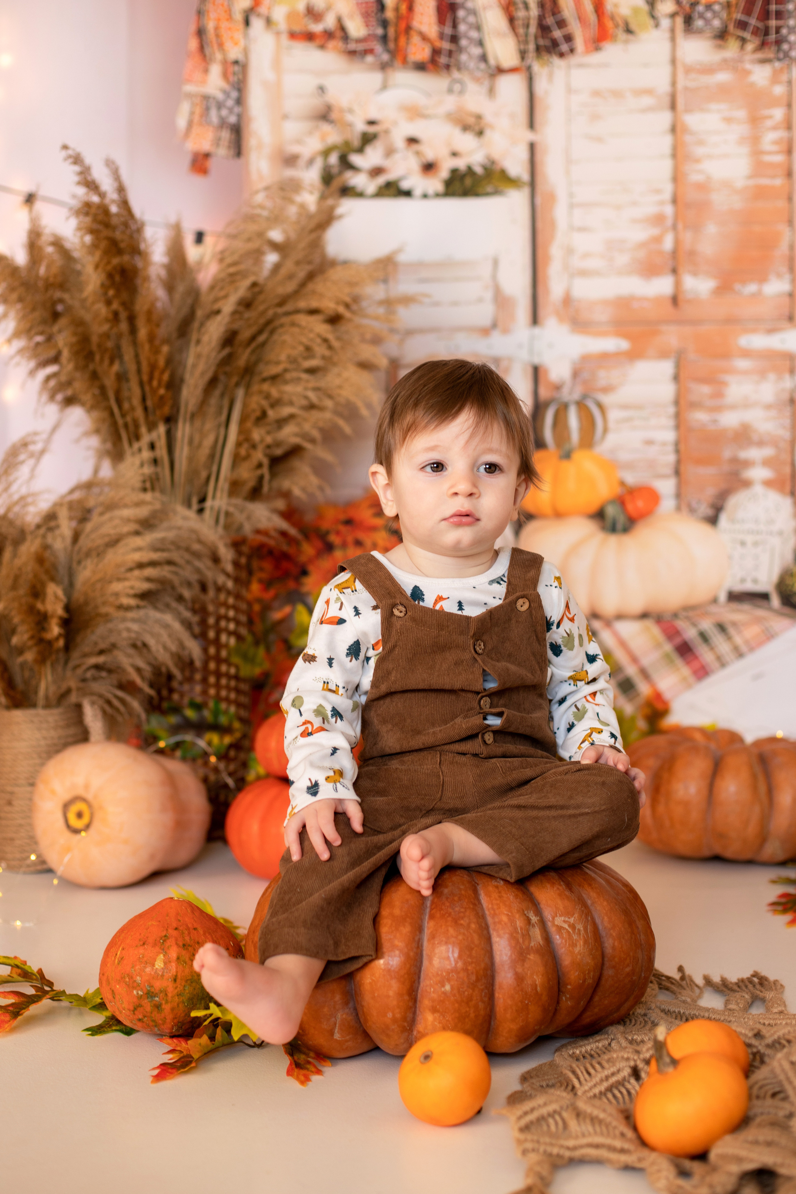 Годовасия в студии. Семейный и детский фотограф в Краснодаре Ирина Лаврецкая