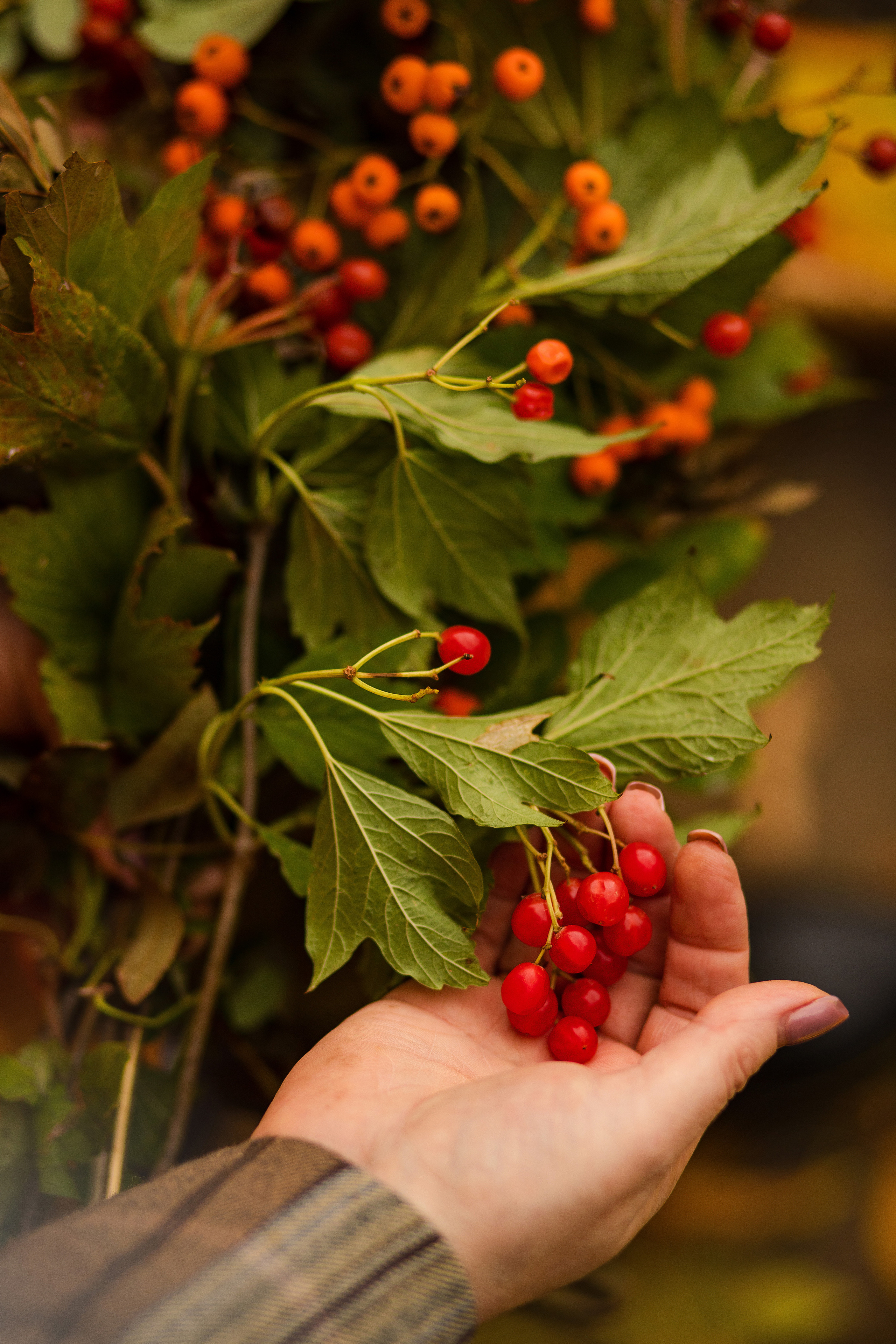 Парк Затон. Семейный и детский фотограф в Краснодаре Ирина Лаврецкая