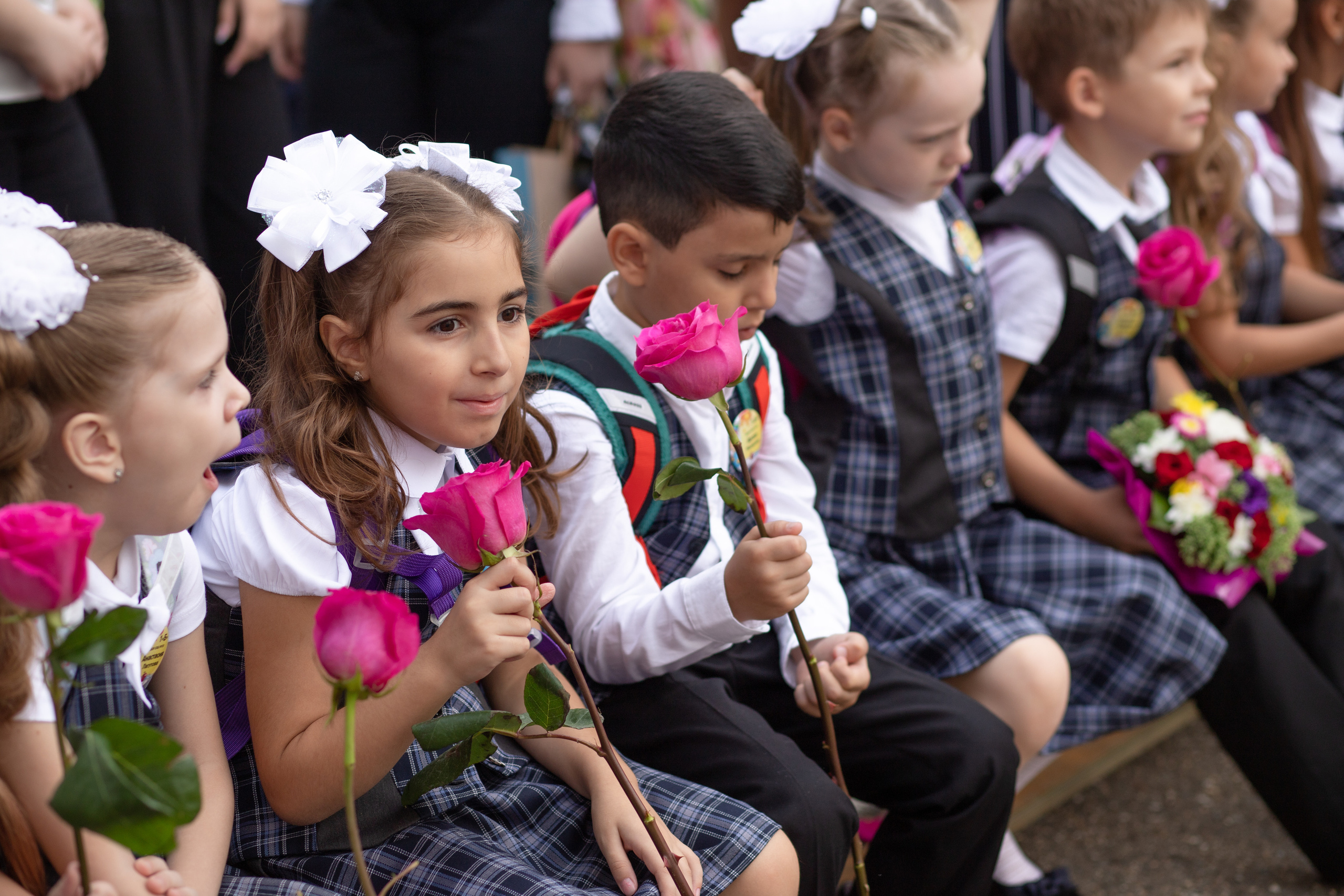 Линейка 1 класс. Семейный и детский фотограф в Краснодаре Ирина Лаврецкая