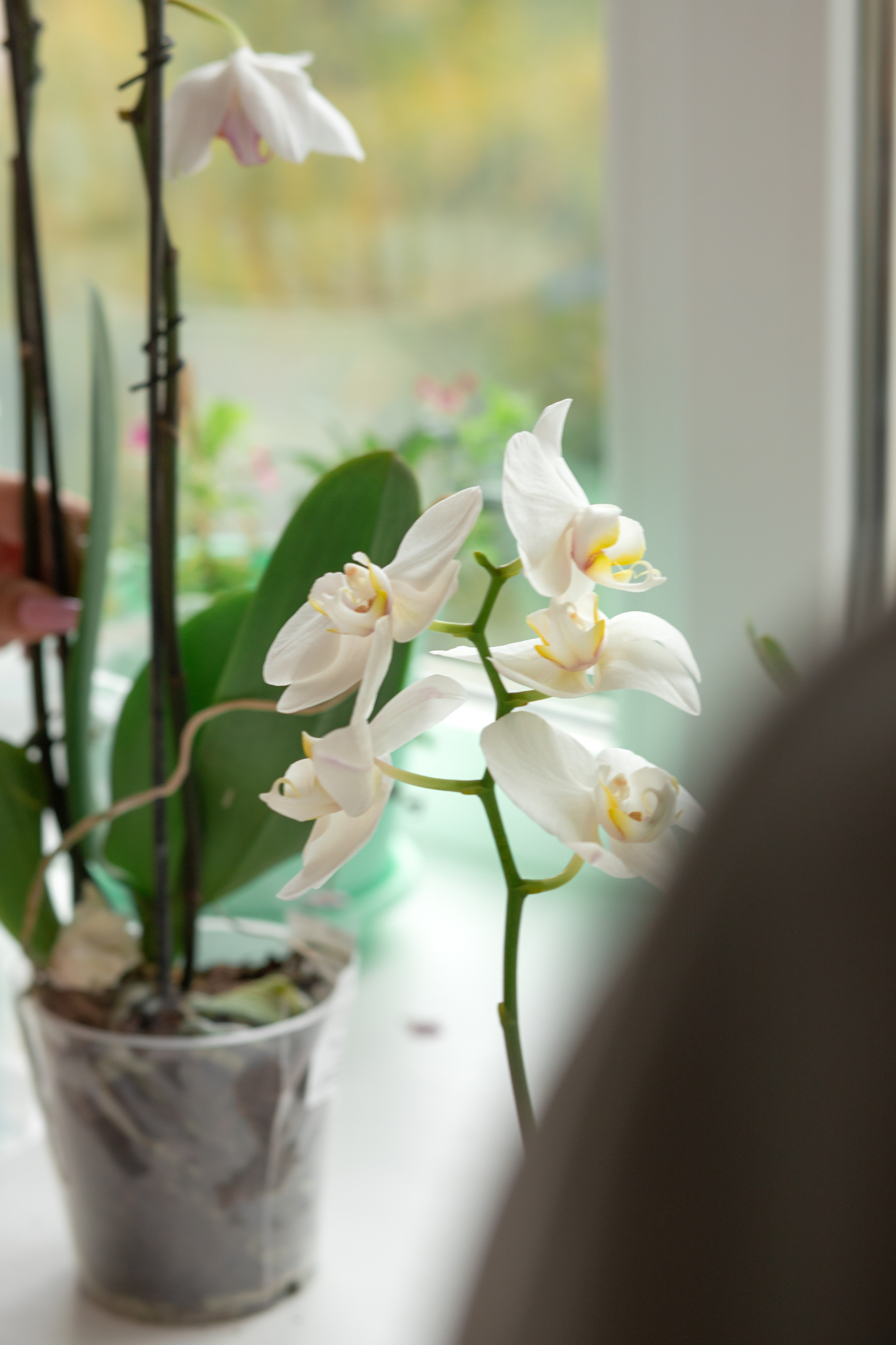 Дмитрий и Инна. Семейный и детский фотограф в Краснодаре Ирина Лаврецкая