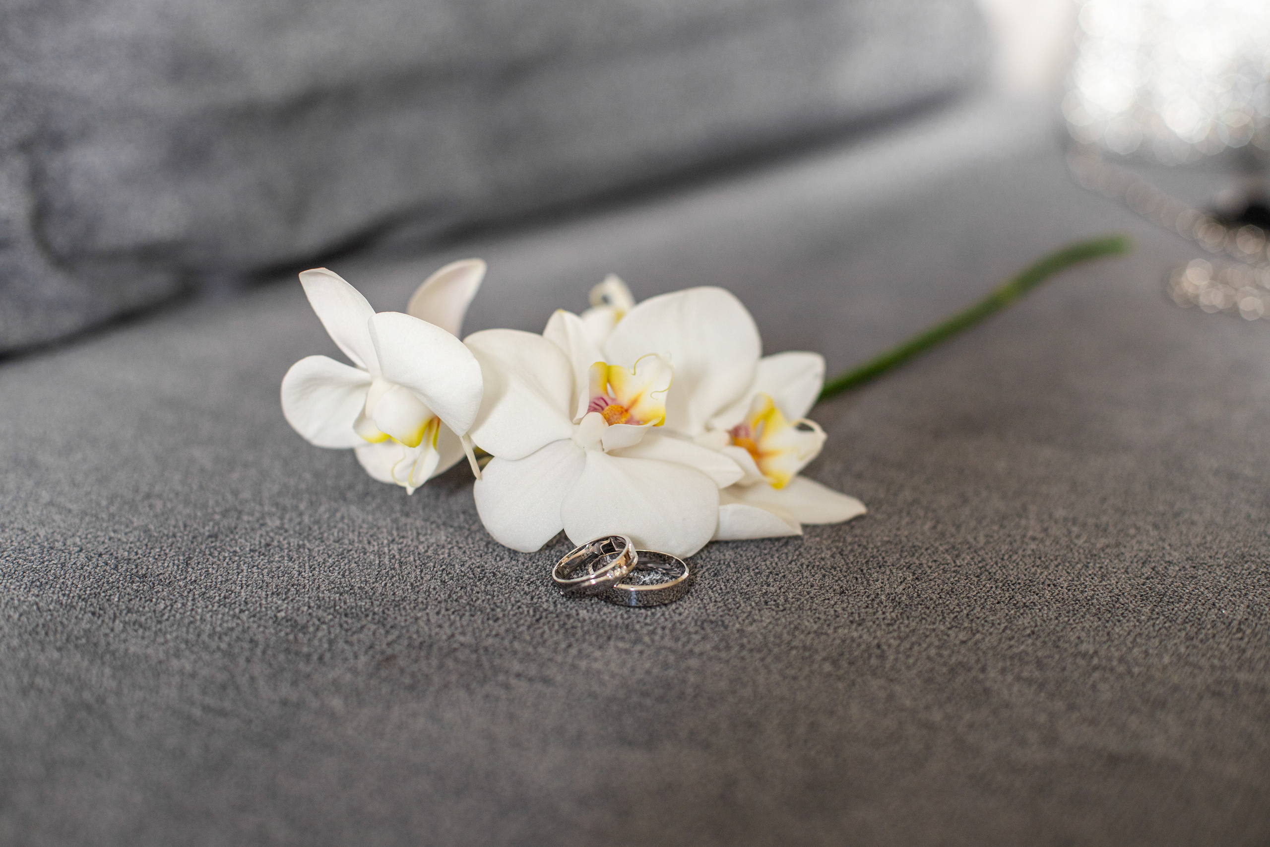 Дмитрий и Инна. Семейный и детский фотограф в Краснодаре Ирина Лаврецкая