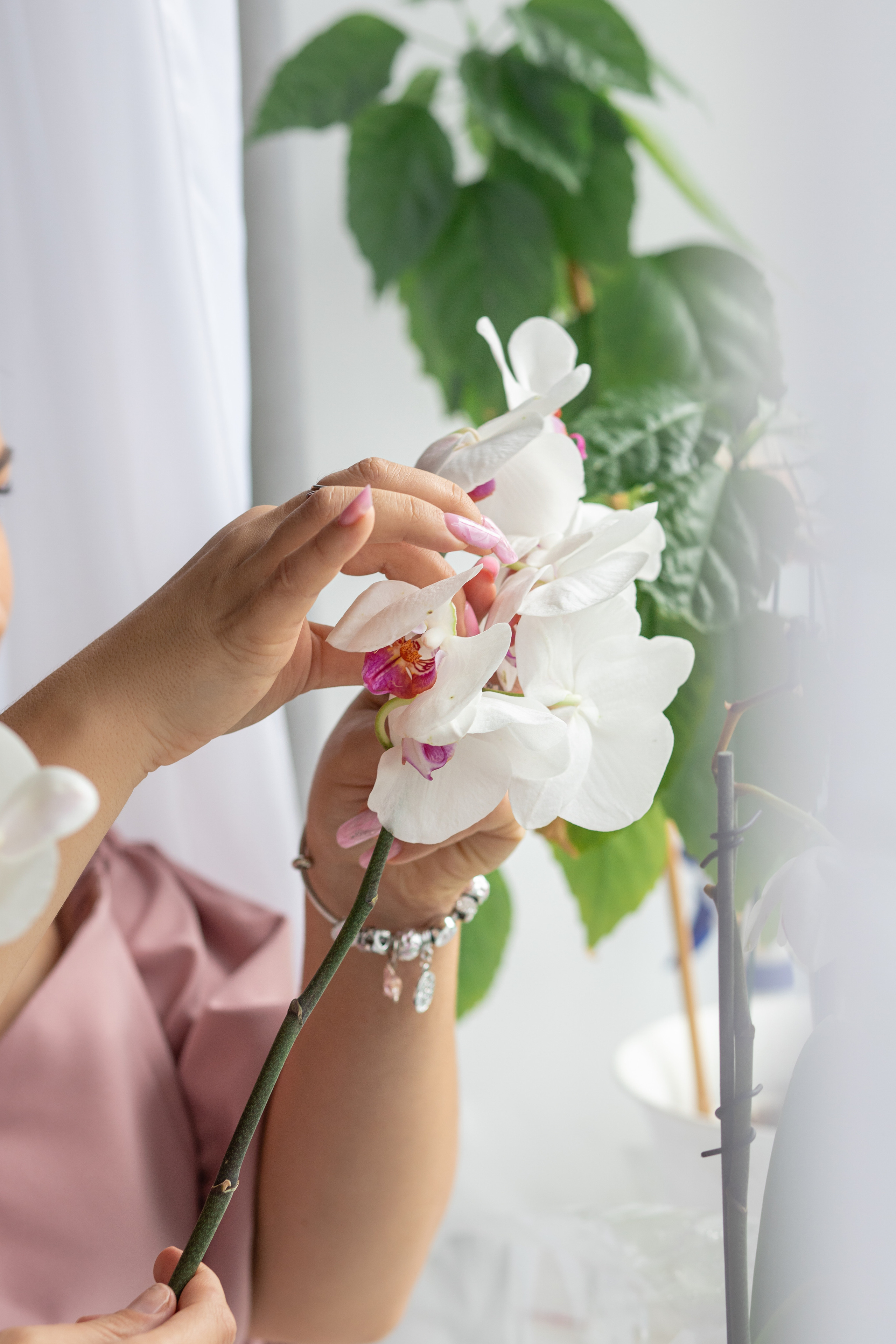 Дмитрий и Инна. Семейный и детский фотограф в Краснодаре Ирина Лаврецкая