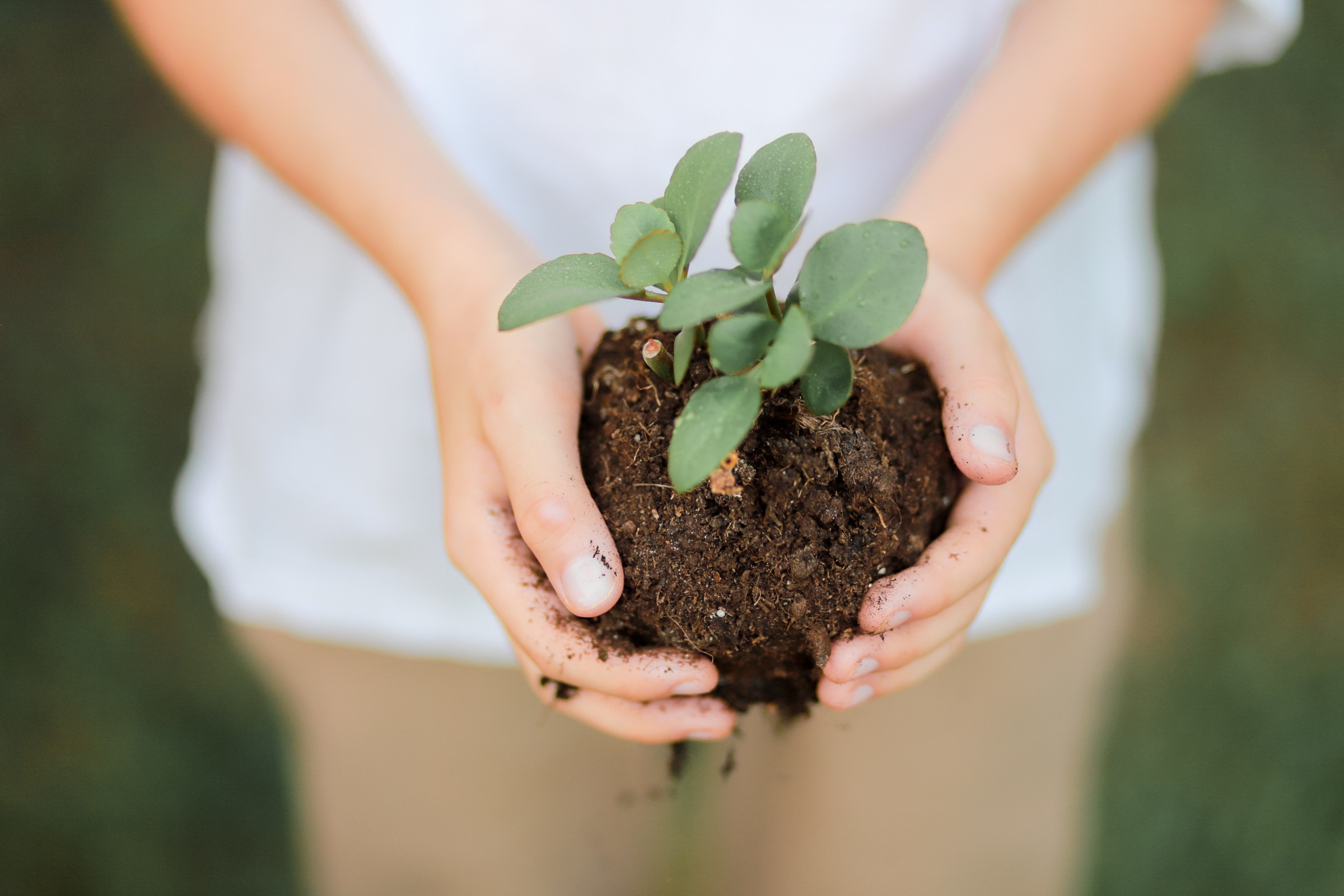 Съемка на природе. Семейный и детский фотограф в Краснодаре Ирина Лаврецкая