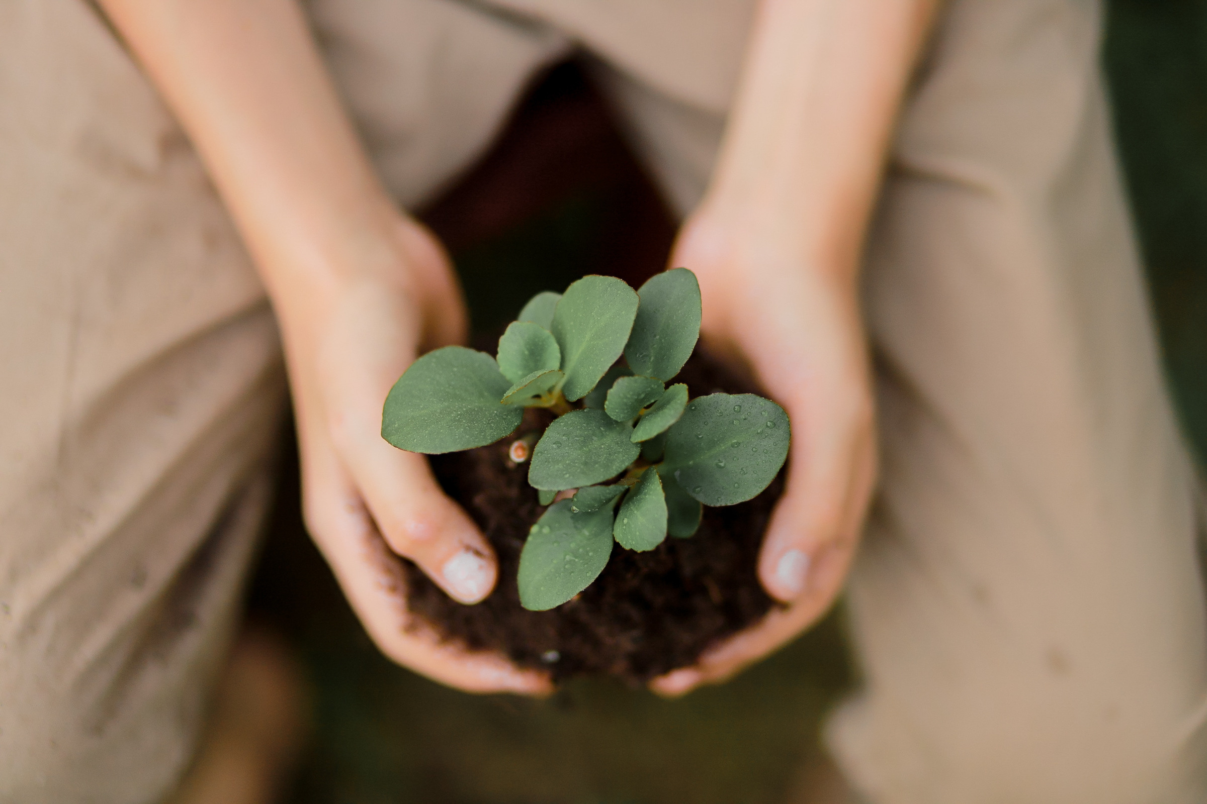 Съемка на природе. Семейный и детский фотограф в Краснодаре Ирина Лаврецкая
