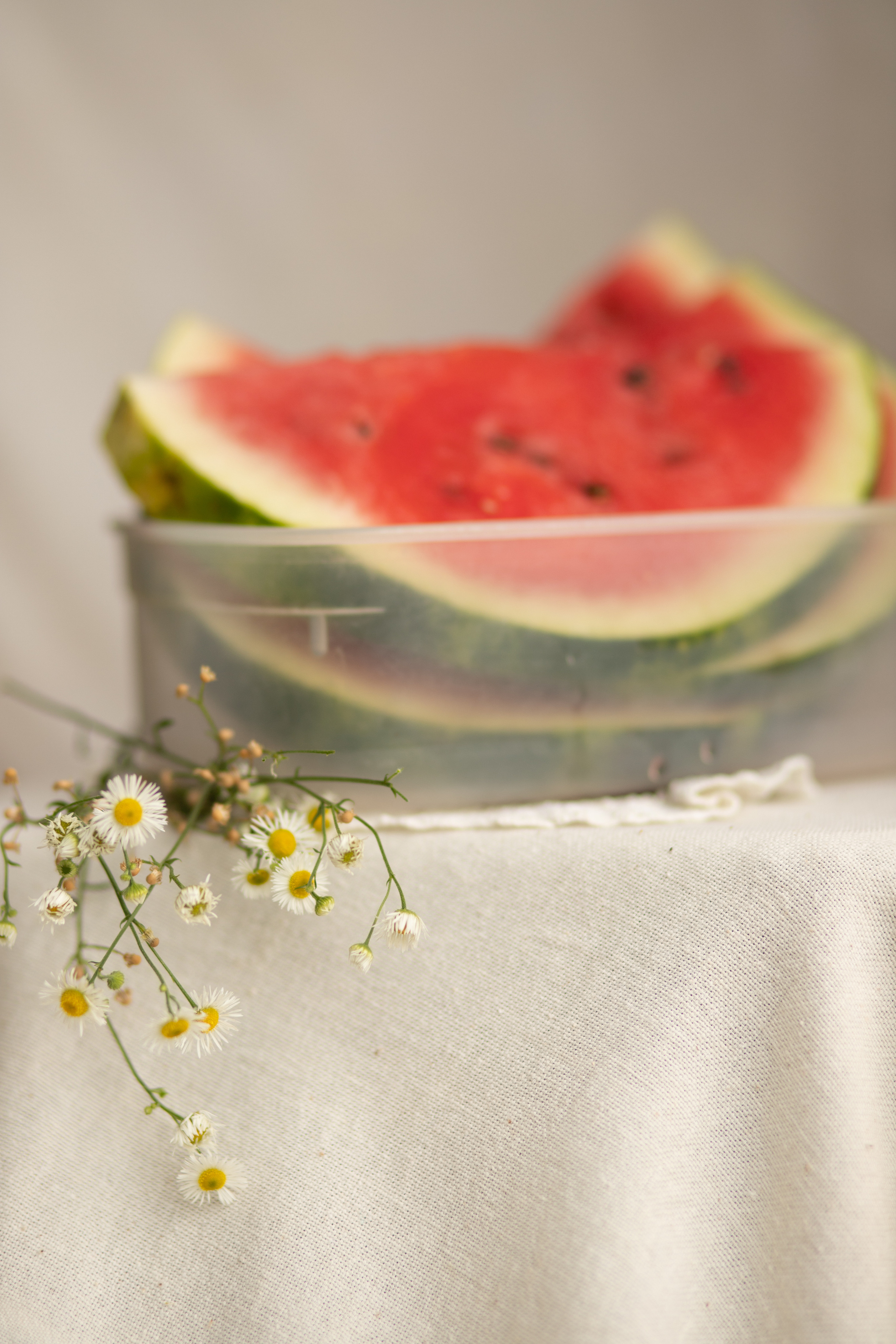 Фотодень «Стирка» и «Арбуз». Семейный и детский фотограф в Краснодаре Ирина Лаврецкая