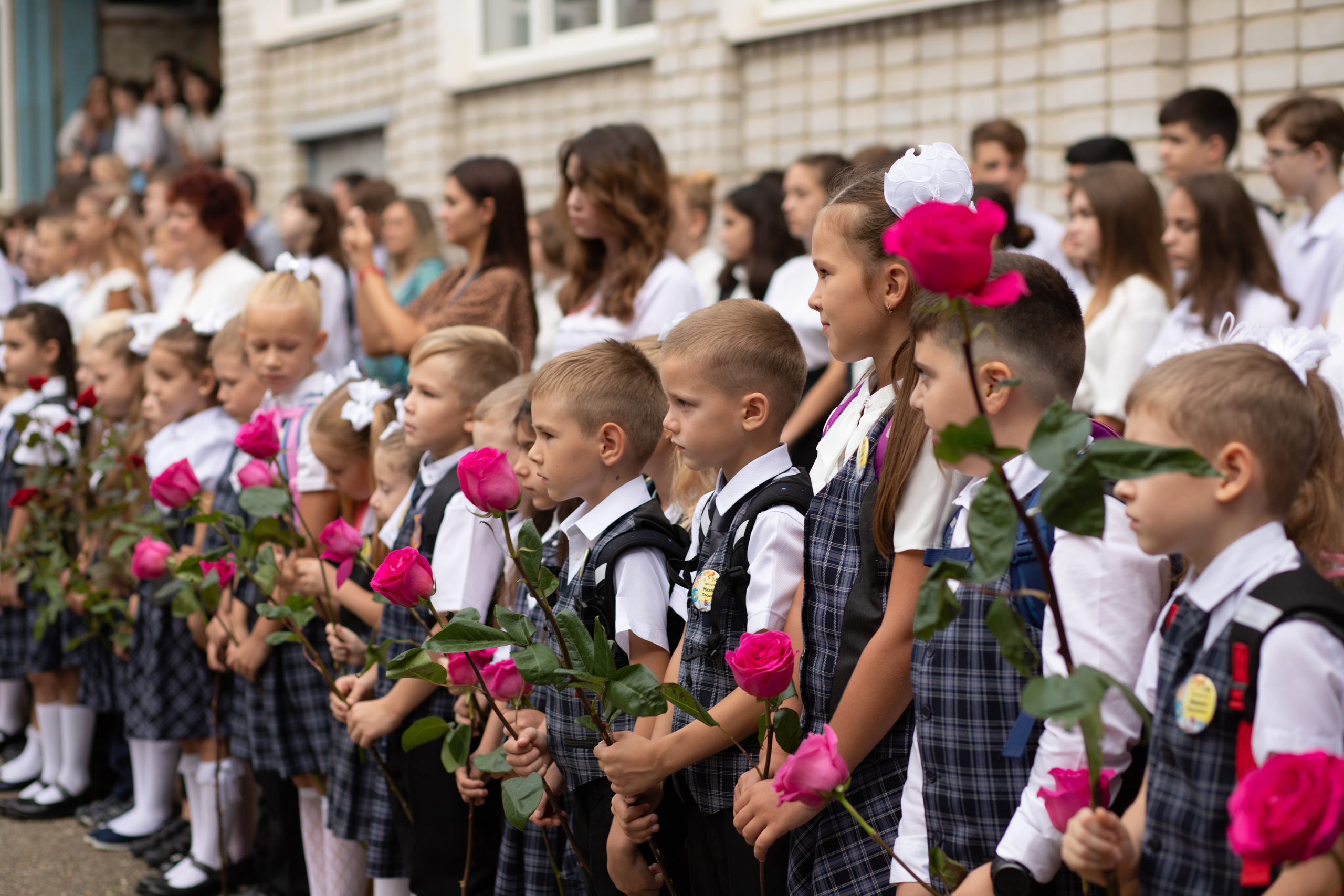 Линейка 1 класс. Семейный и детский фотограф в Краснодаре Ирина Лаврецкая