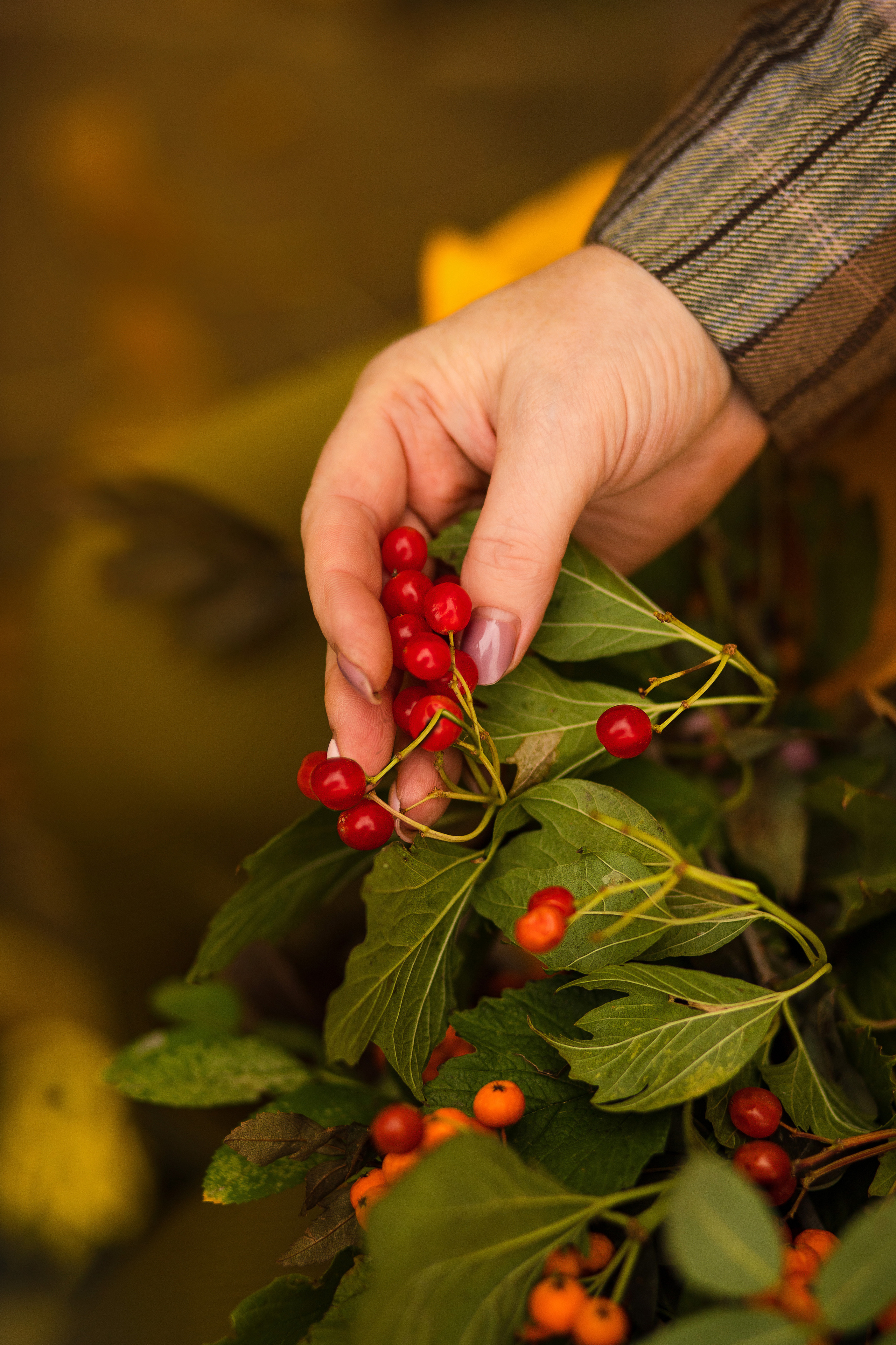 Парк Затон. Семейный и детский фотограф в Краснодаре Ирина Лаврецкая