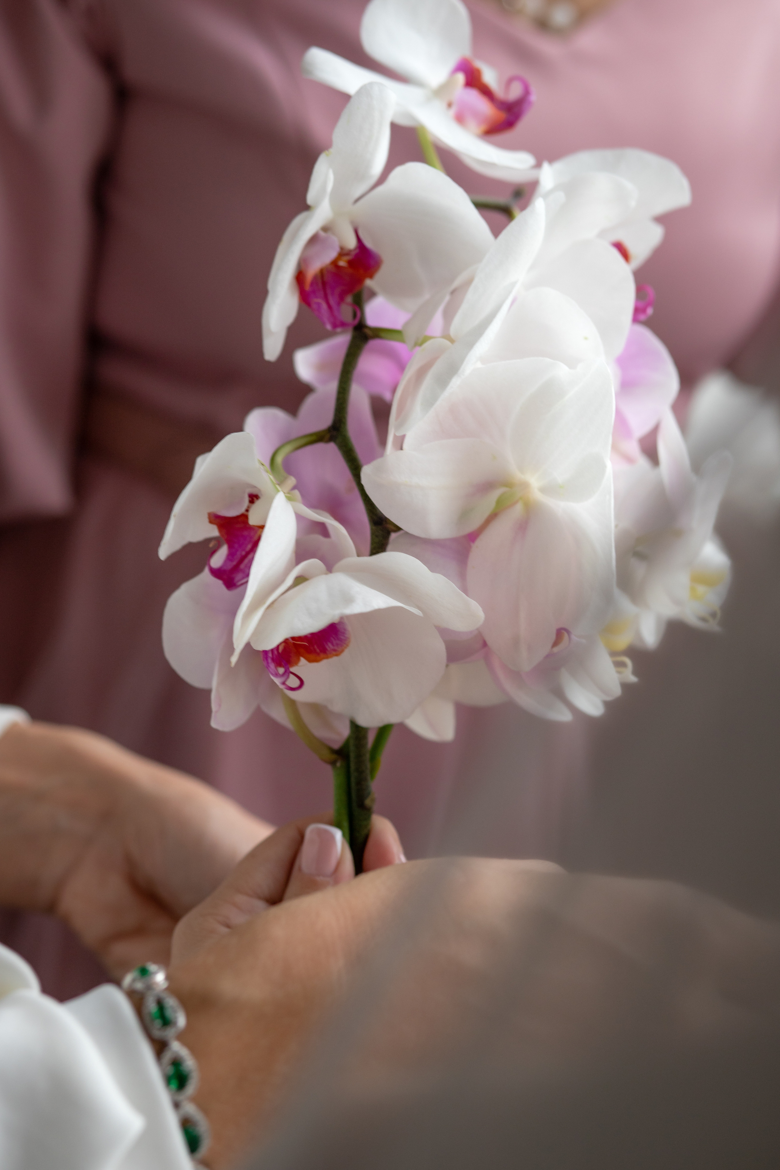 Дмитрий и Инна. Семейный и детский фотограф в Краснодаре Ирина Лаврецкая