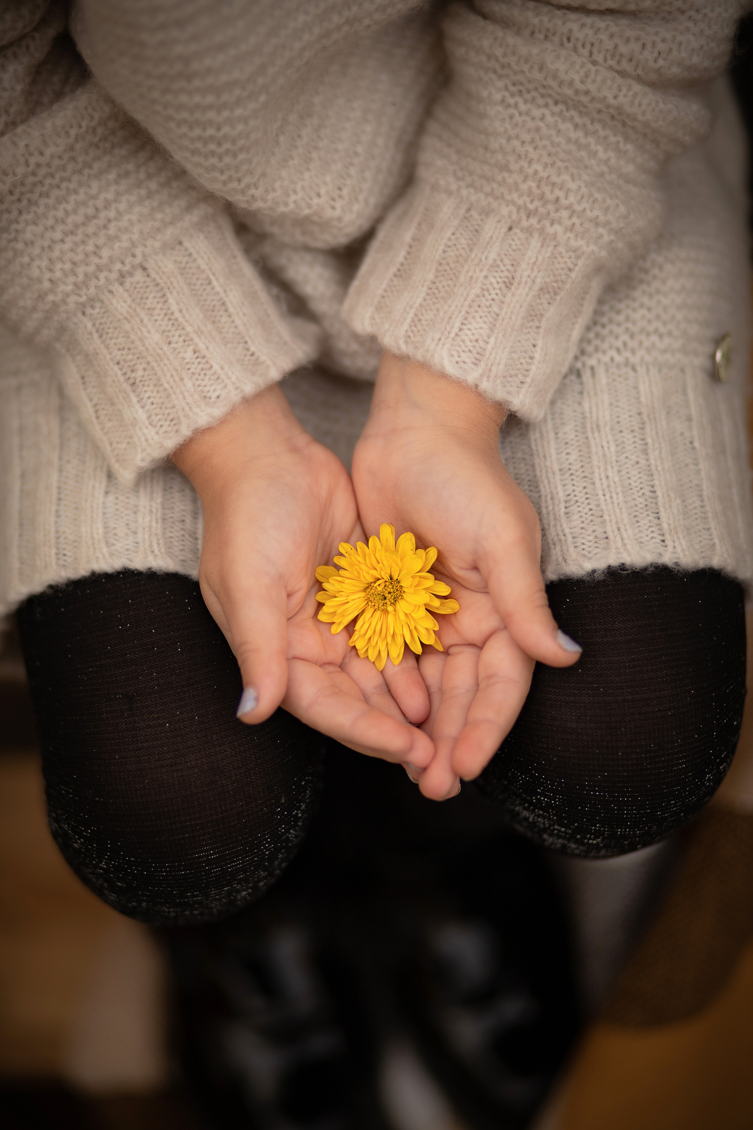 Осенние съемки в парке. Семейный и детский фотограф в Краснодаре Ирина Лаврецкая