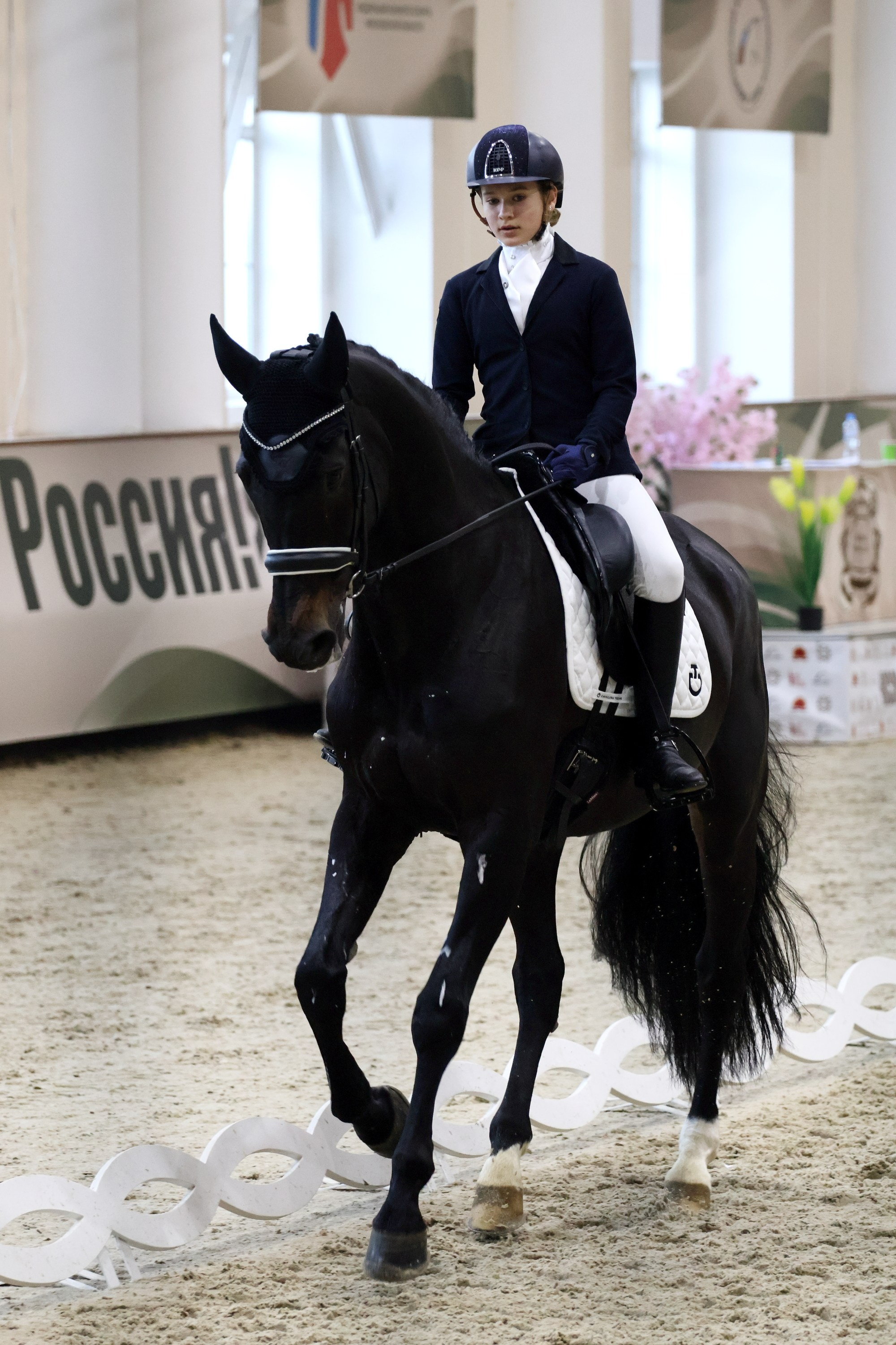 Соревнования по выездке КСК «Виват, Россия!». Спортивный и репортажный фотограф Ермакова Светлана