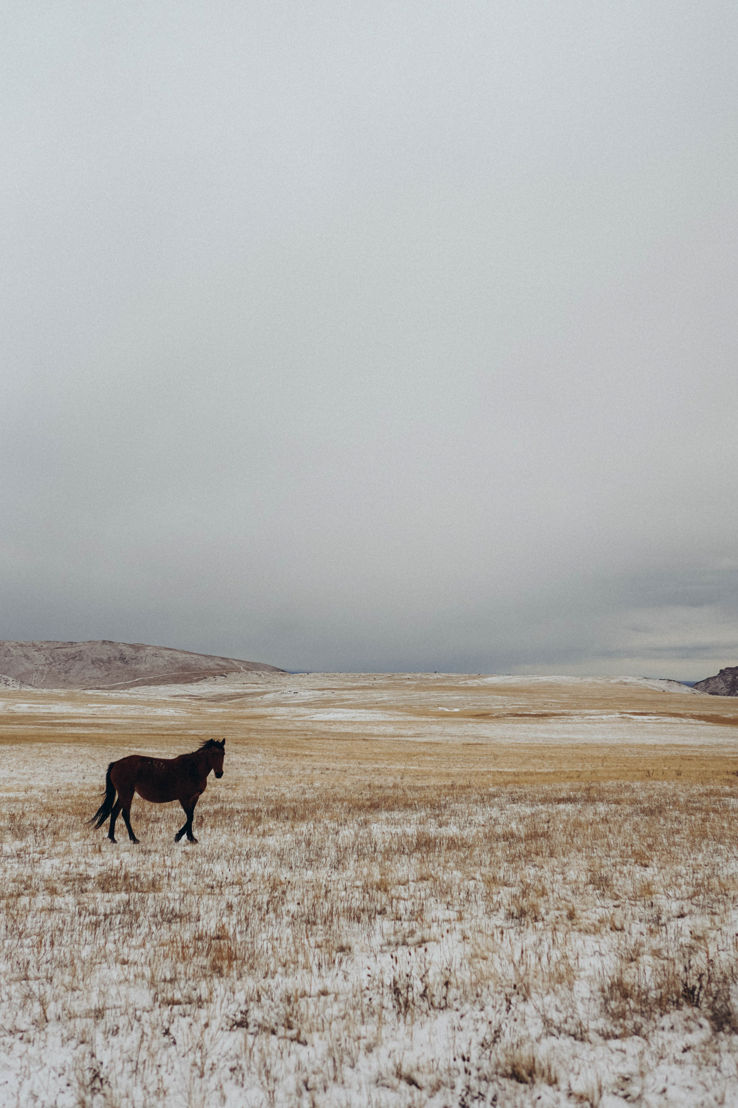 Алина и Андрей: регистрация и свадебная съемка в бухте Ая. Фотограф в Иркутске