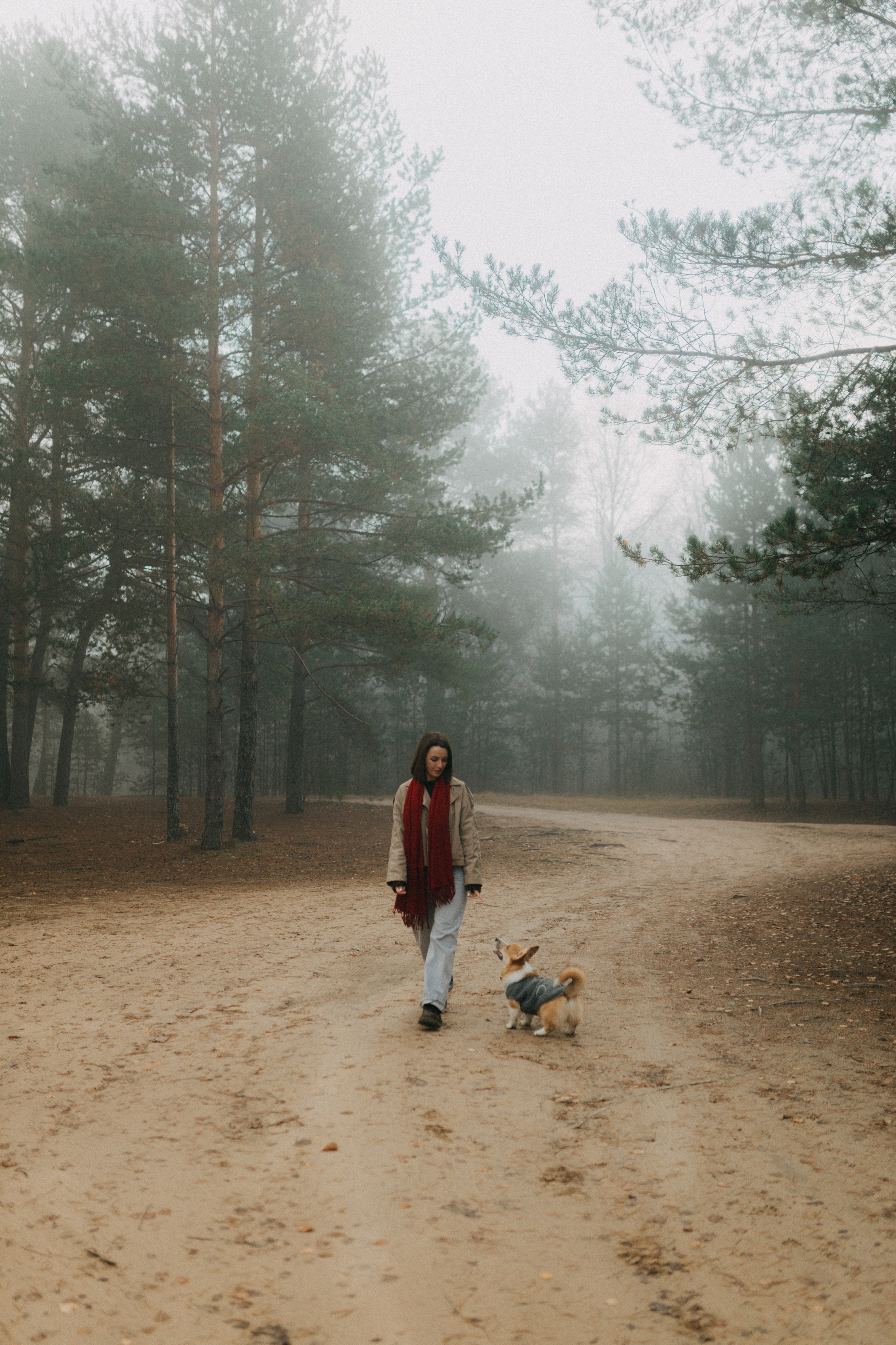 Алина. Фотограф НОГИНСК, Москва, Анастасия Белая