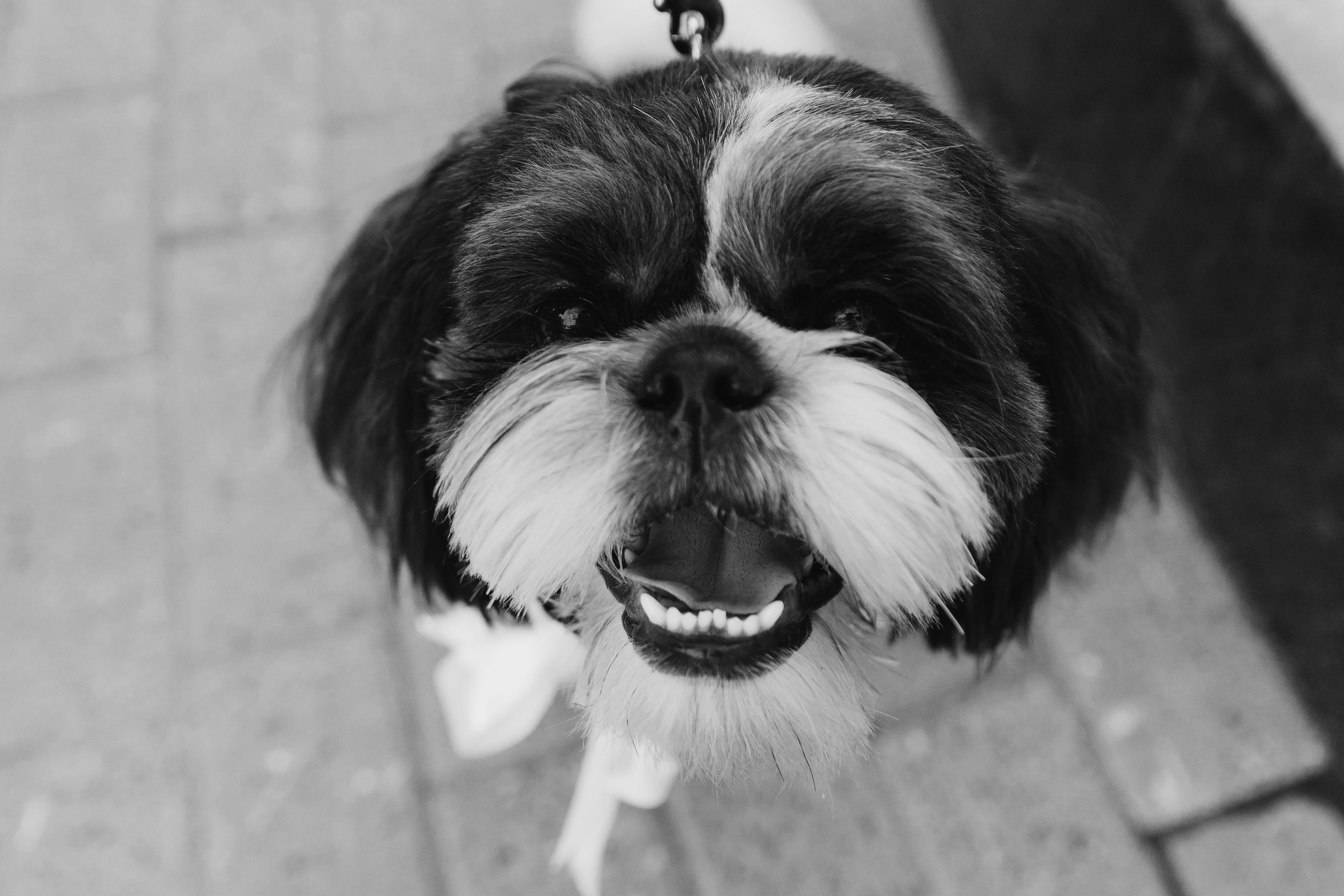 Любить в Нижнем Новгороде. Свадебный фотограф в Нижнем Новгороде — Эдуард Смирнов