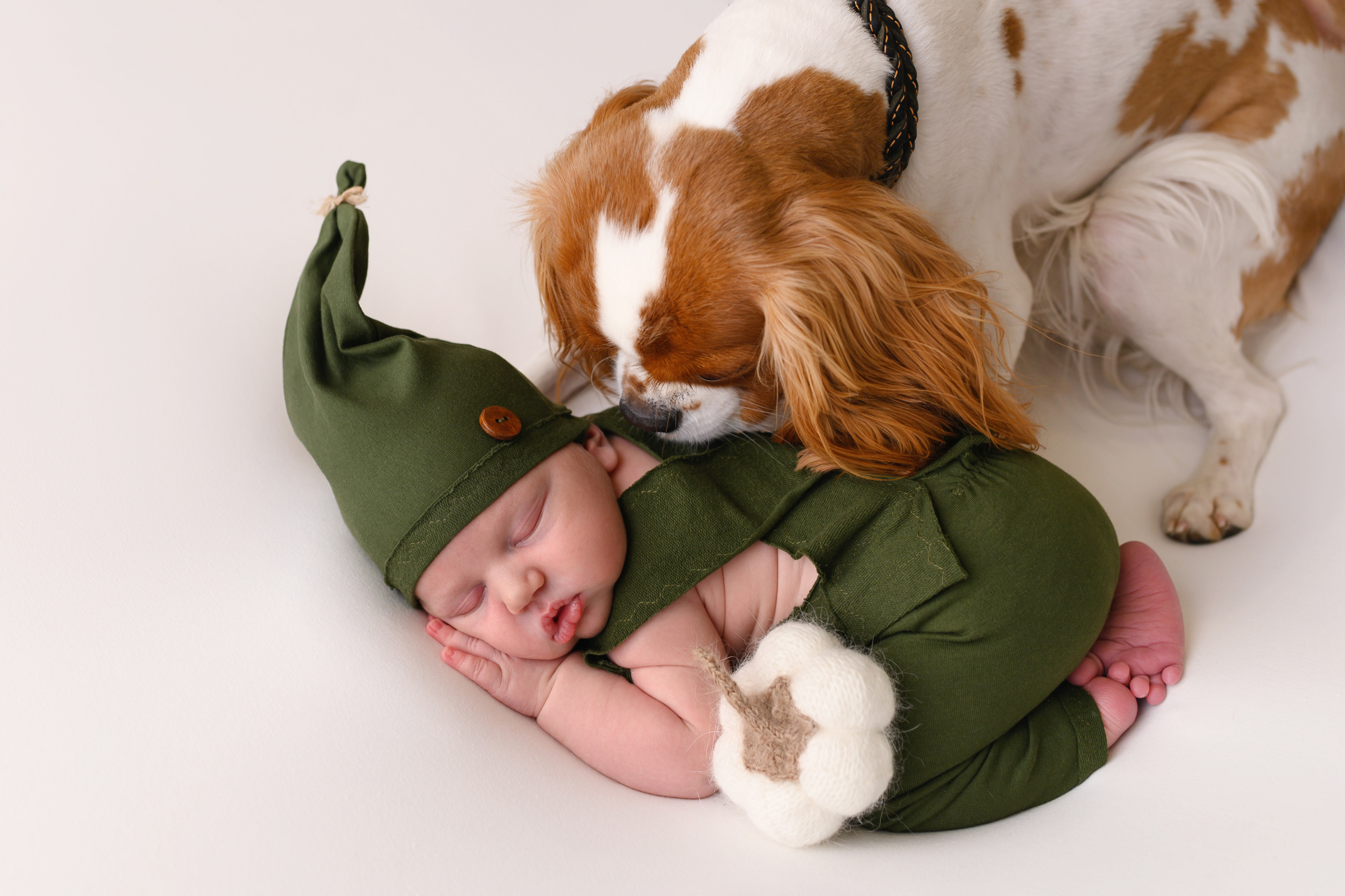 Пакет «Малыш» Новорожденные. Фотограф новорождённых Абакан Марина Дейнюк