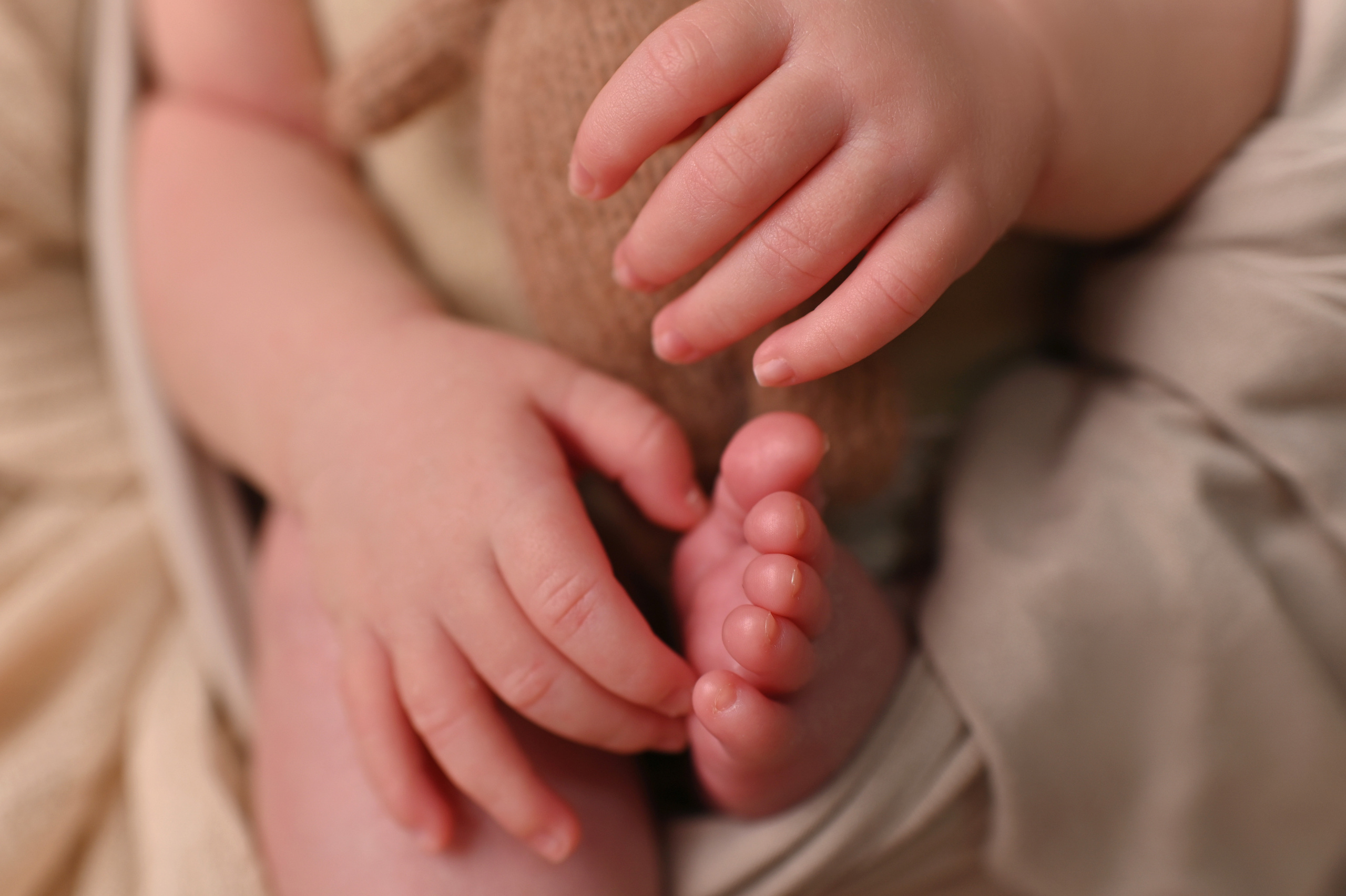 Пакет «Семейный» новорожденные. Фотограф новорождённых Абакан Марина Дейнюк