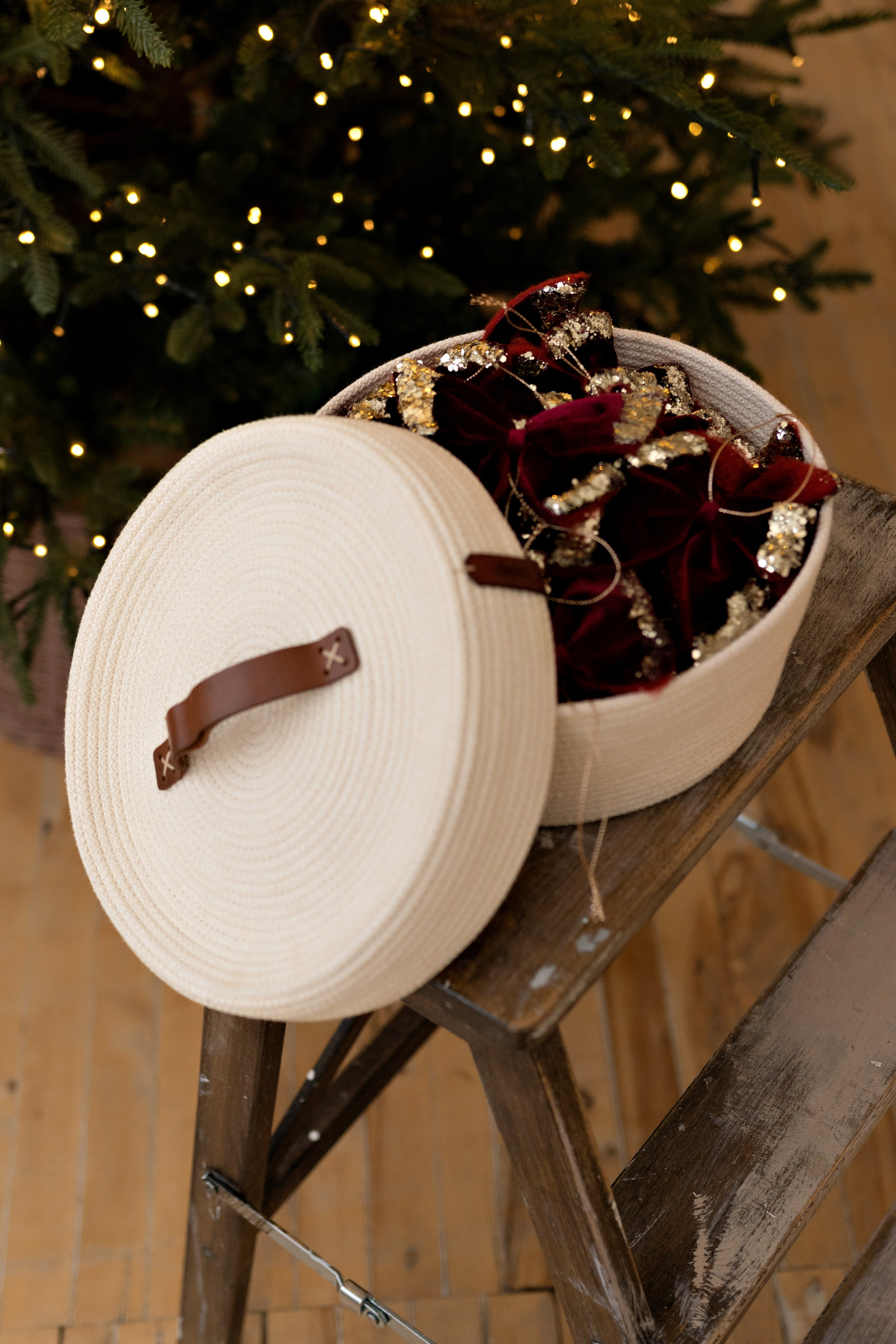 Family. Елена Задорина