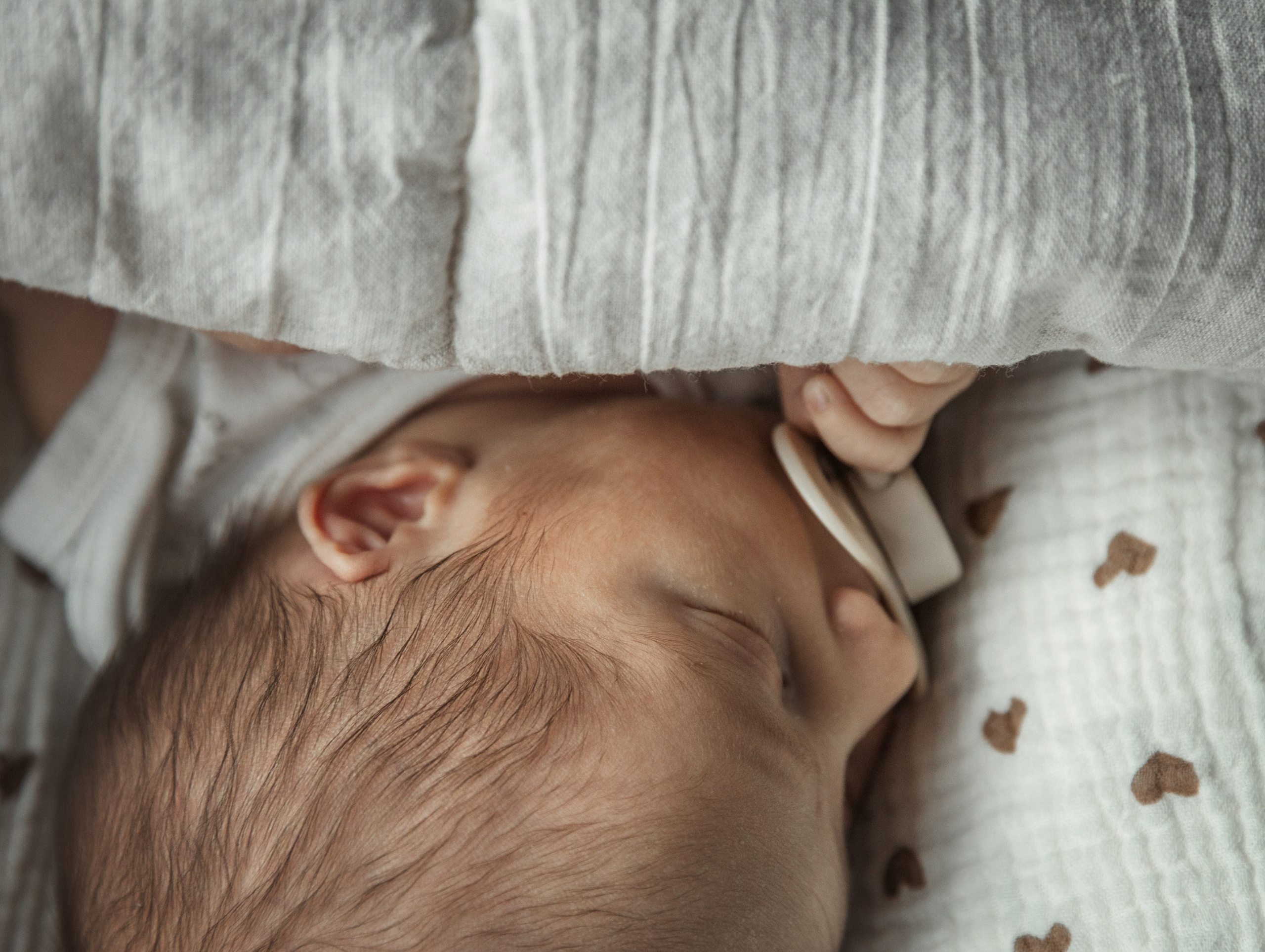 Вероника и Полина. Семейный и детский фотограф в Обнинске Анастасия Улитко