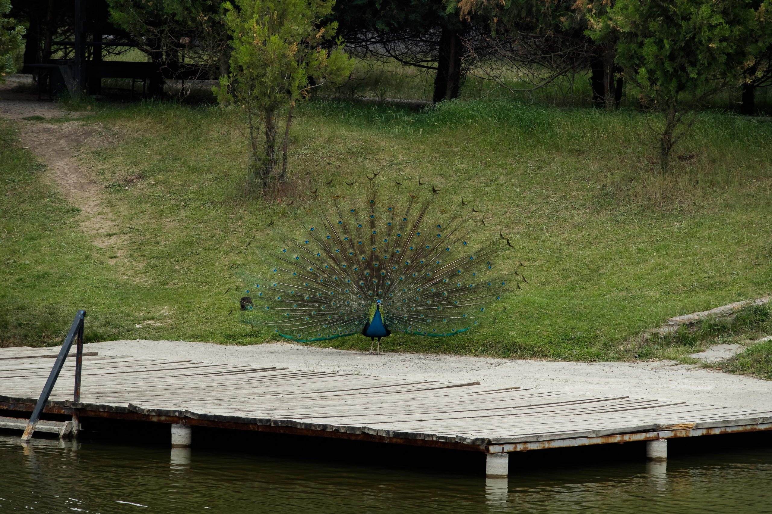 Полине 6 лет. Фотограф Таганрог и Ростов-на-Дону