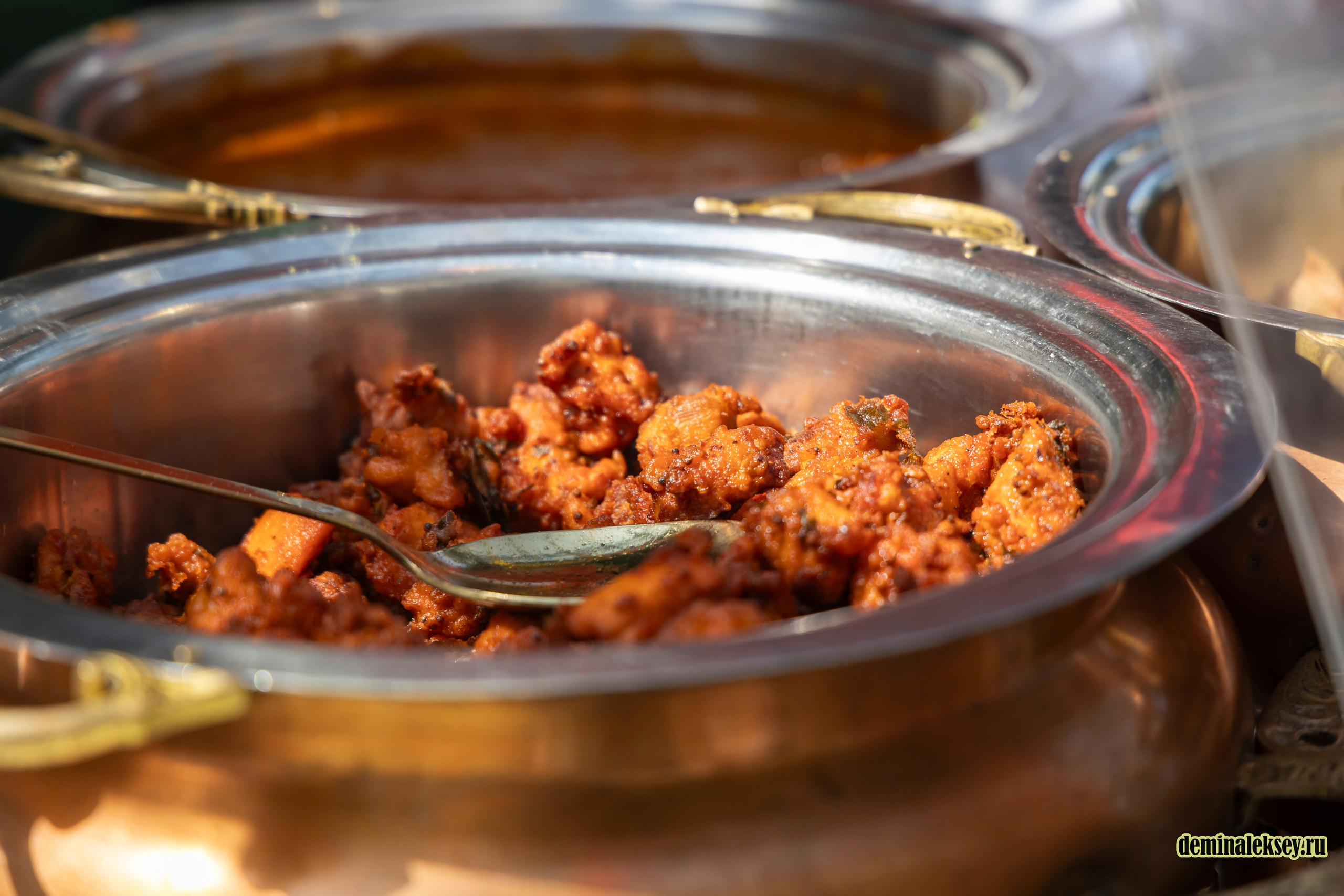 Фестиваль Дни индии на Манежной площади. Репортажный, семейный и студийный фотограф в Москве Демин Алексей