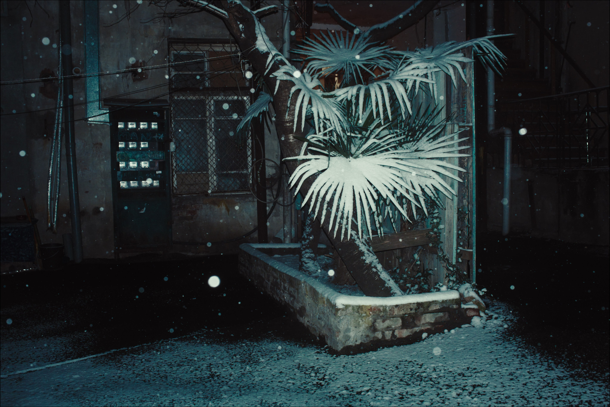 Streets of Sakartvelo p.12. Viktor Garshnep Documentary Photographer