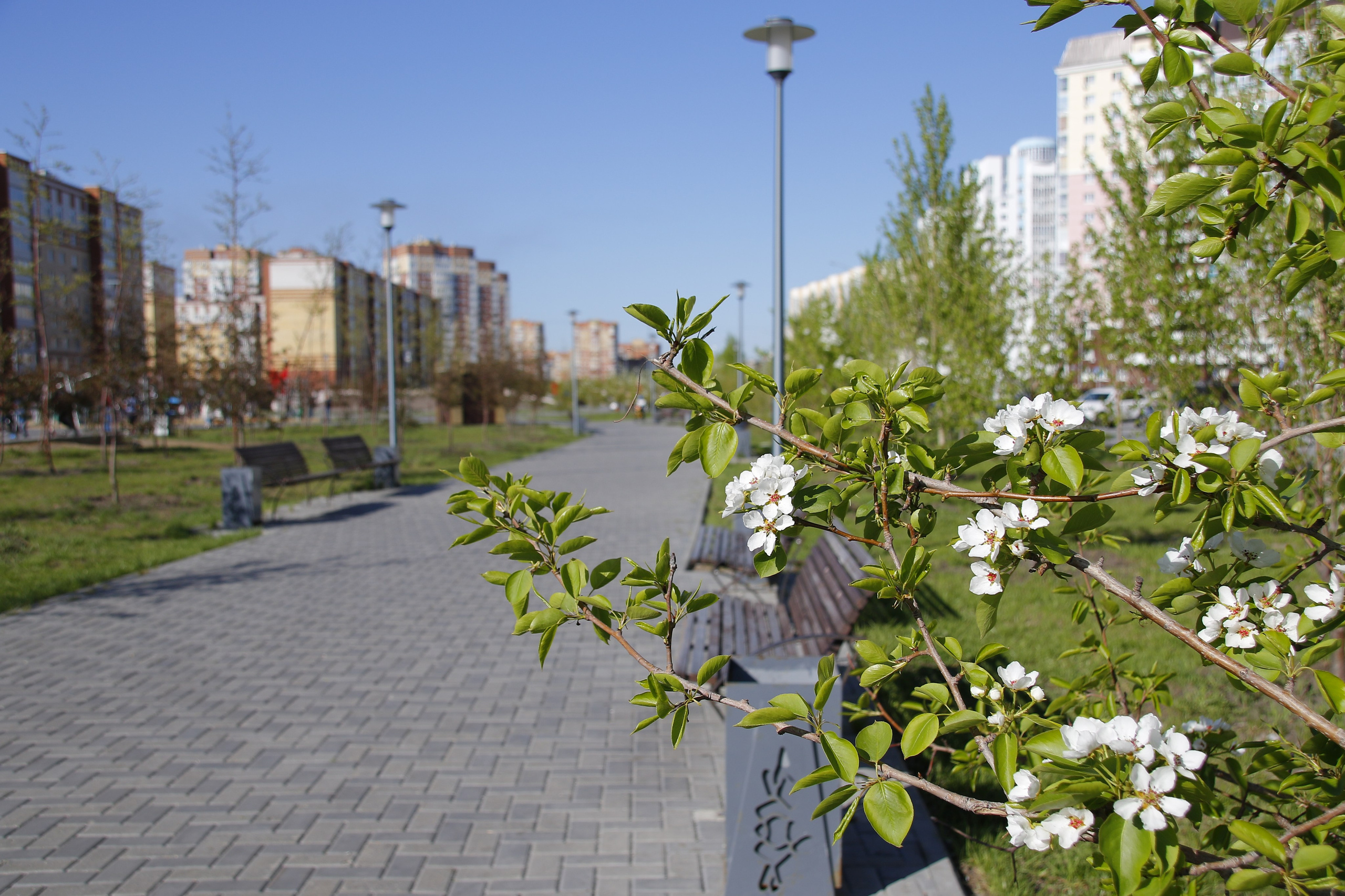 Городской пейзаж. Репортажный фотограф Анастасия Богданова из Тюмени