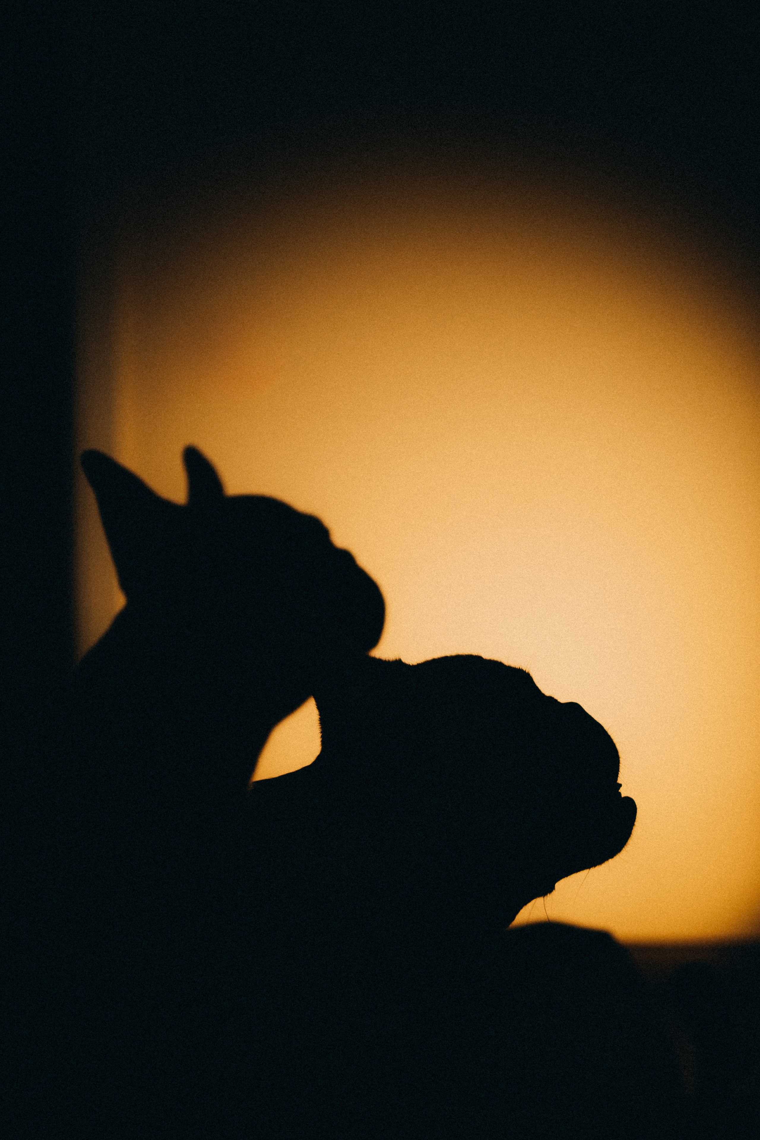 Юля, Мия и Зек